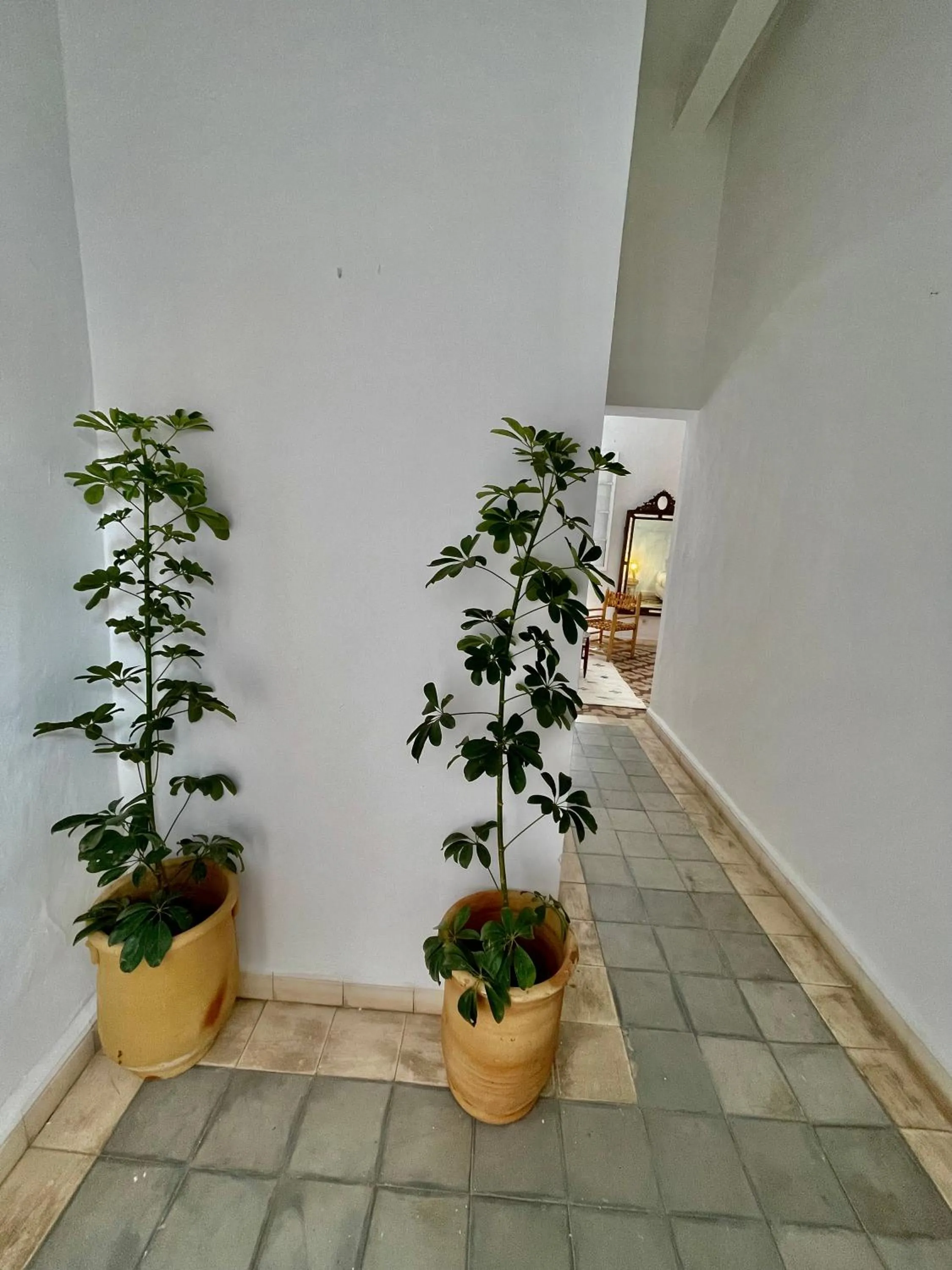 Facade/entrance in Riad Dar Zayna