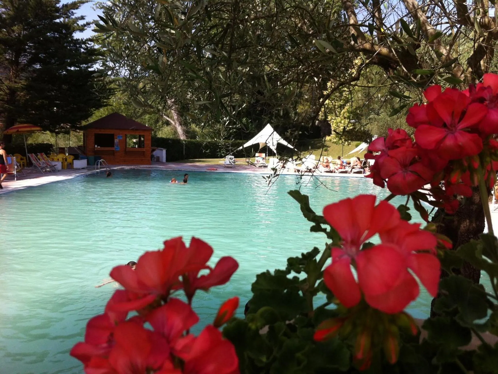 Swimming pool in Albergo Terme Forlenza