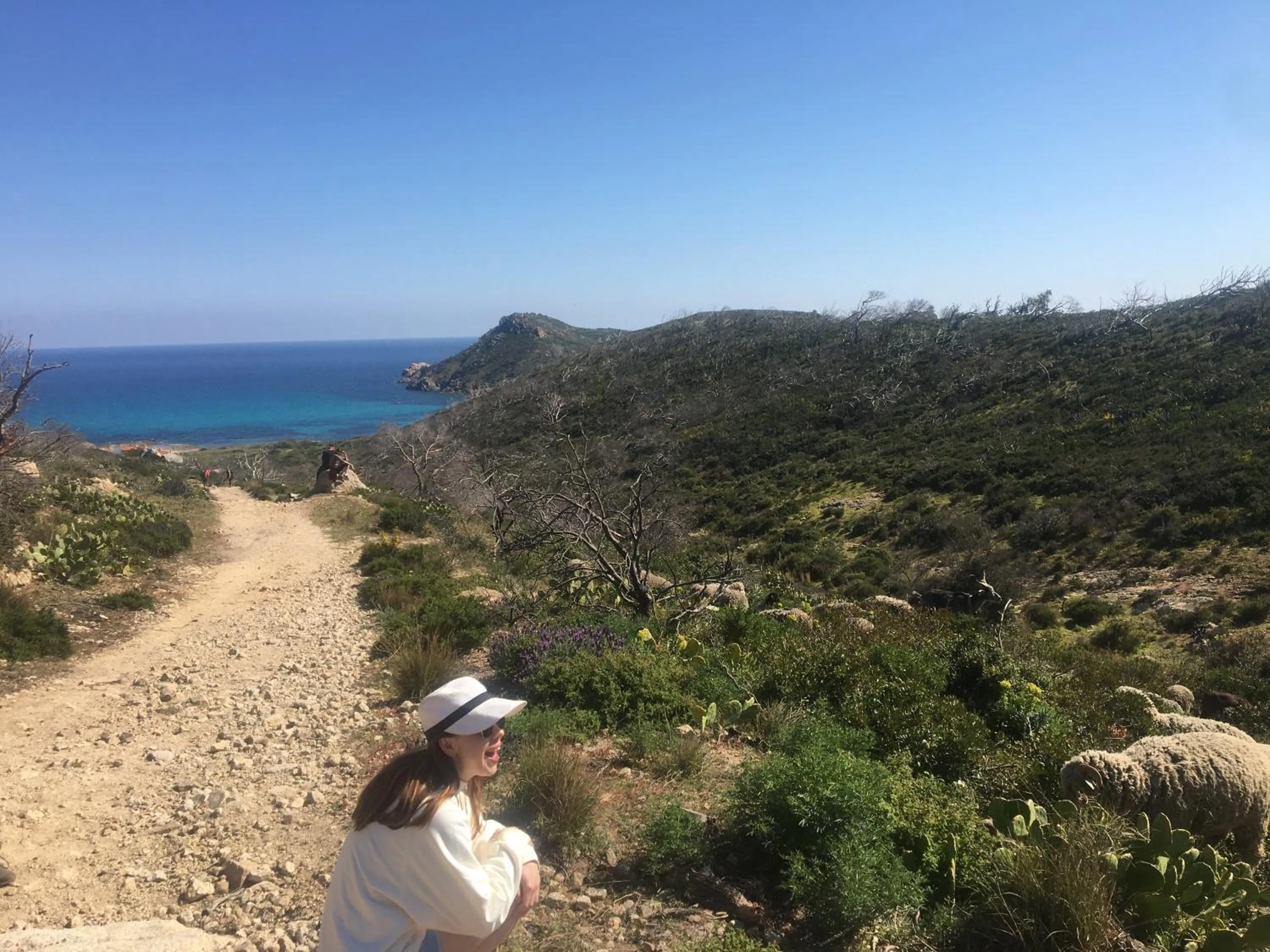 Canoeing in Clos des Vignes Pampelonne Vineyard