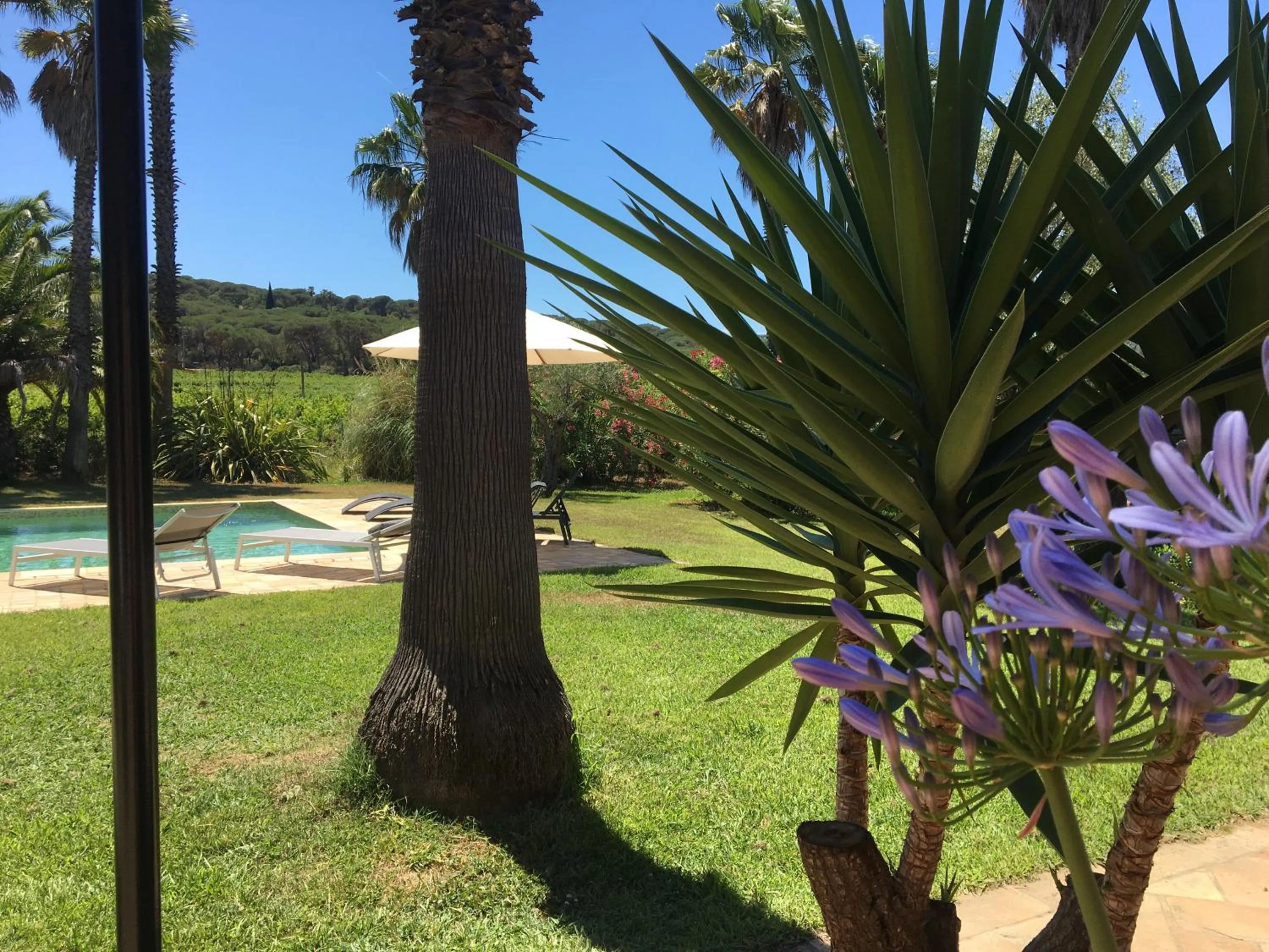 Property building in Clos des Vignes Pampelonne Vineyard