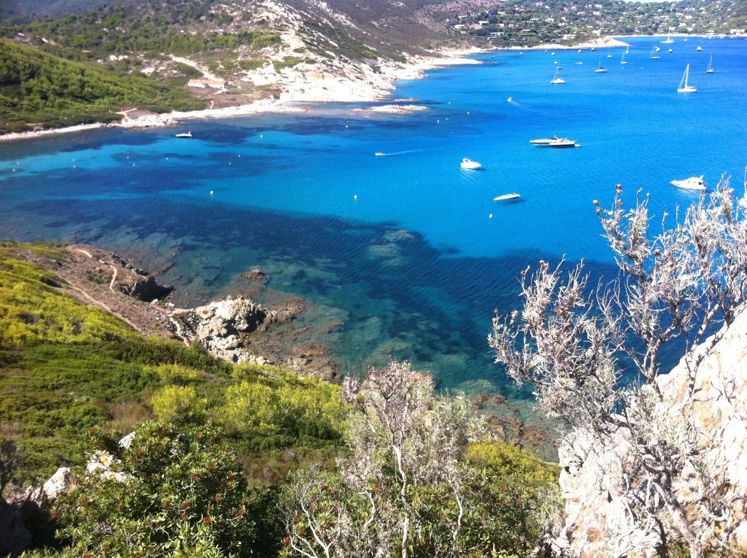 Other in Clos des Vignes Pampelonne Vineyard