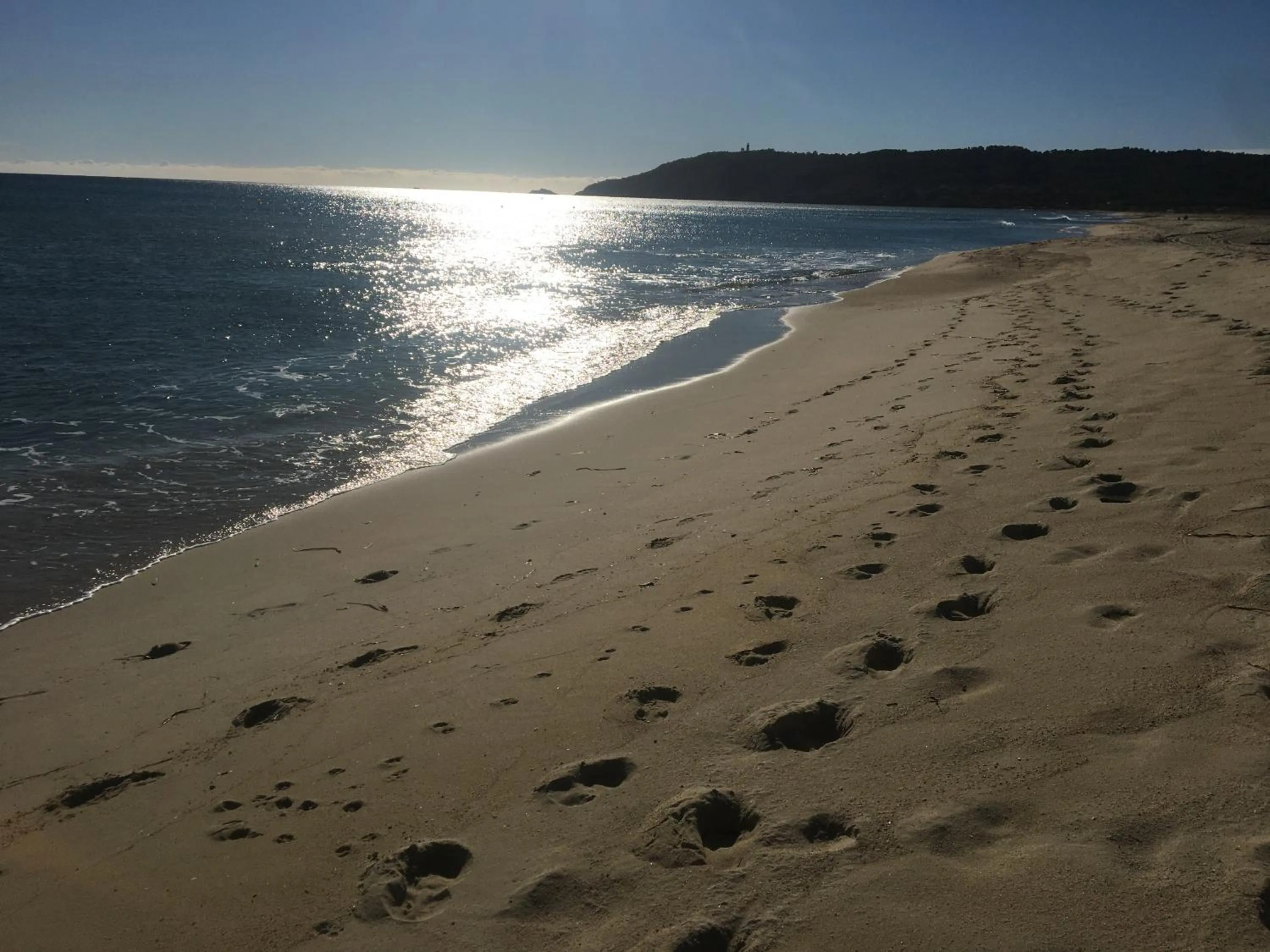 Clos des Vignes Pampelonne Vineyard