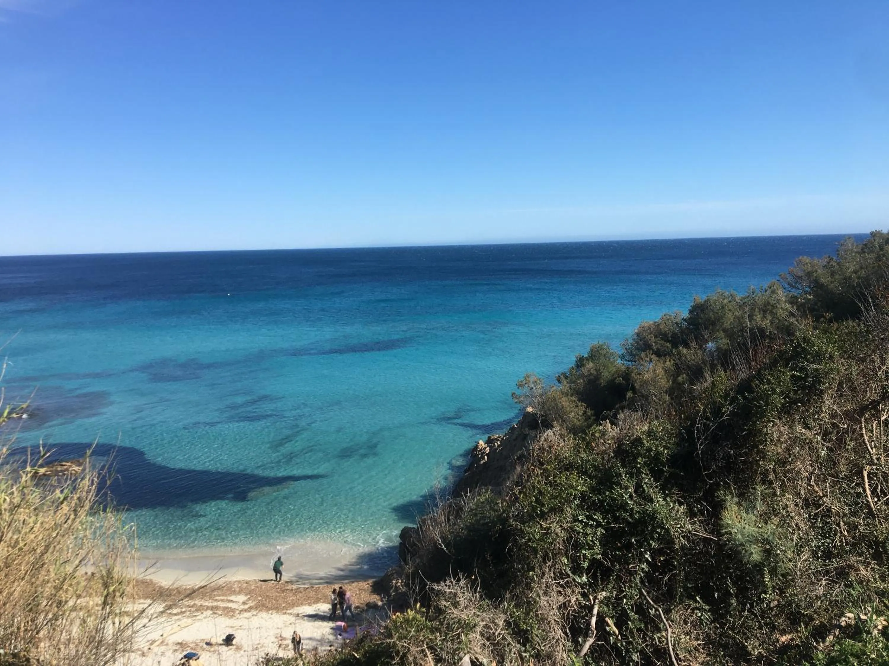 Natural landscape in Clos des Vignes Pampelonne Vineyard