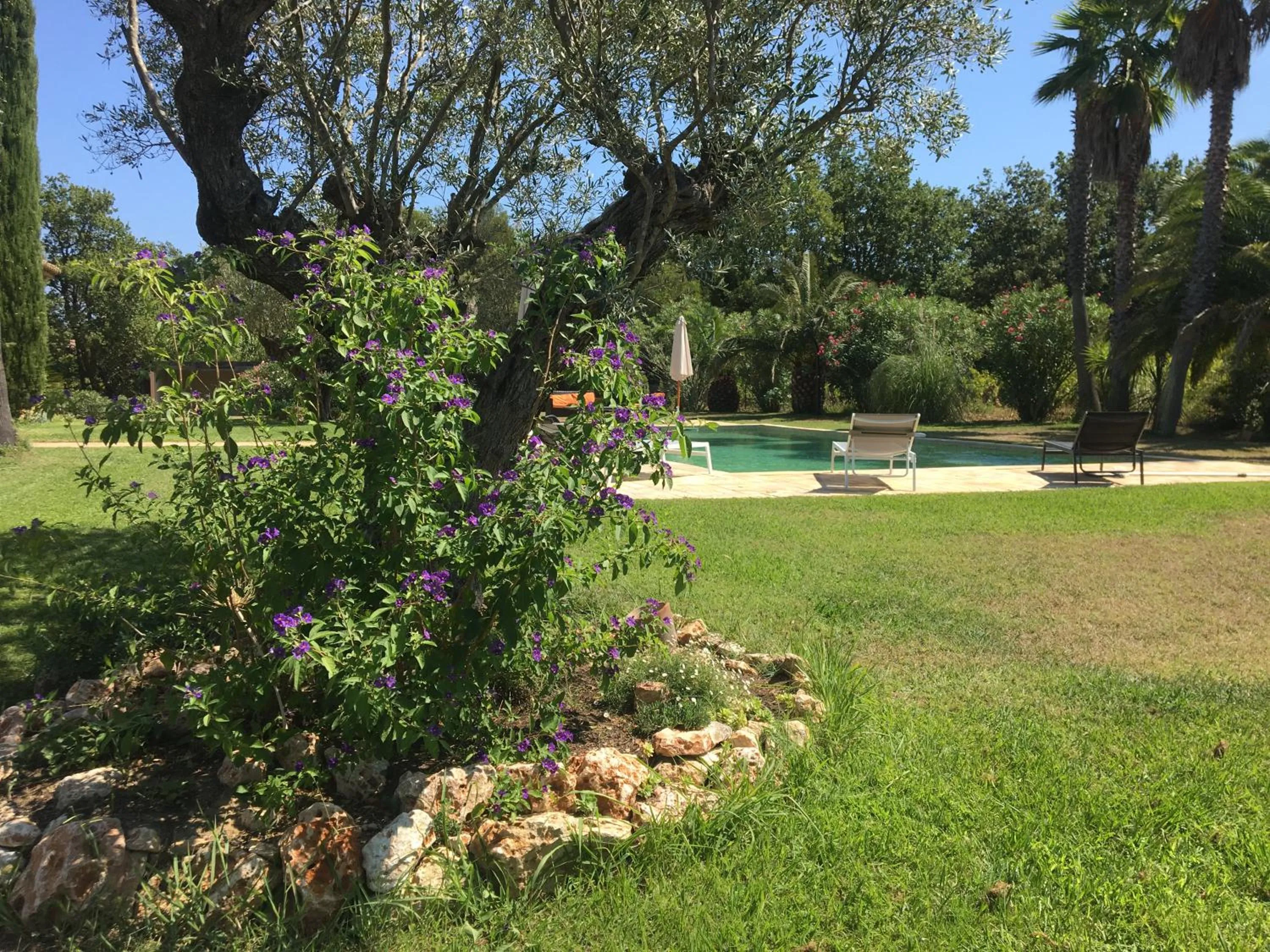 Clos des Vignes Pampelonne Vineyard