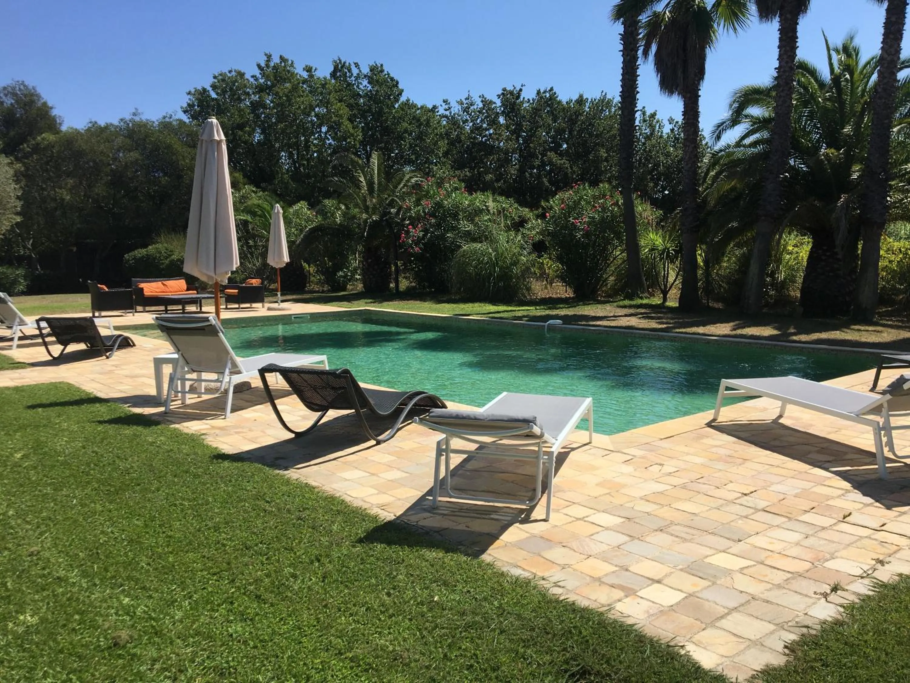 Clos des Vignes Pampelonne Vineyard