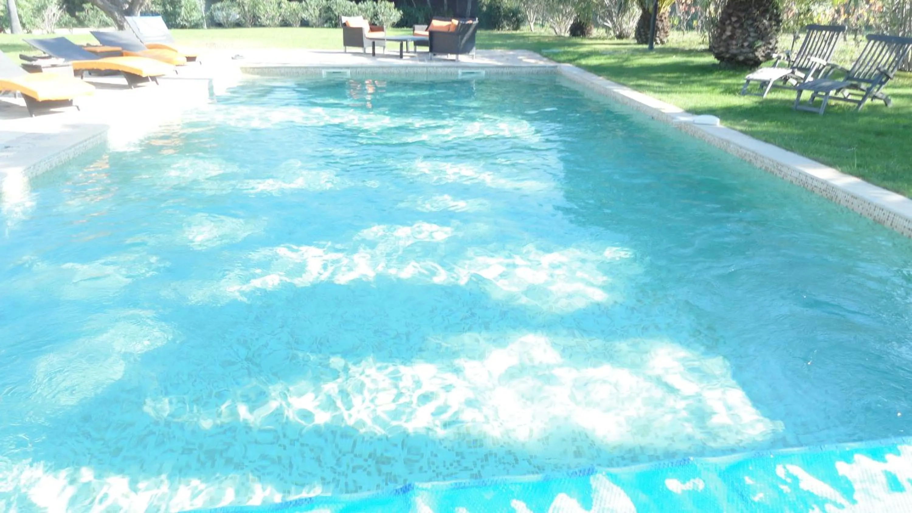 Day in Clos des Vignes Pampelonne Vineyard