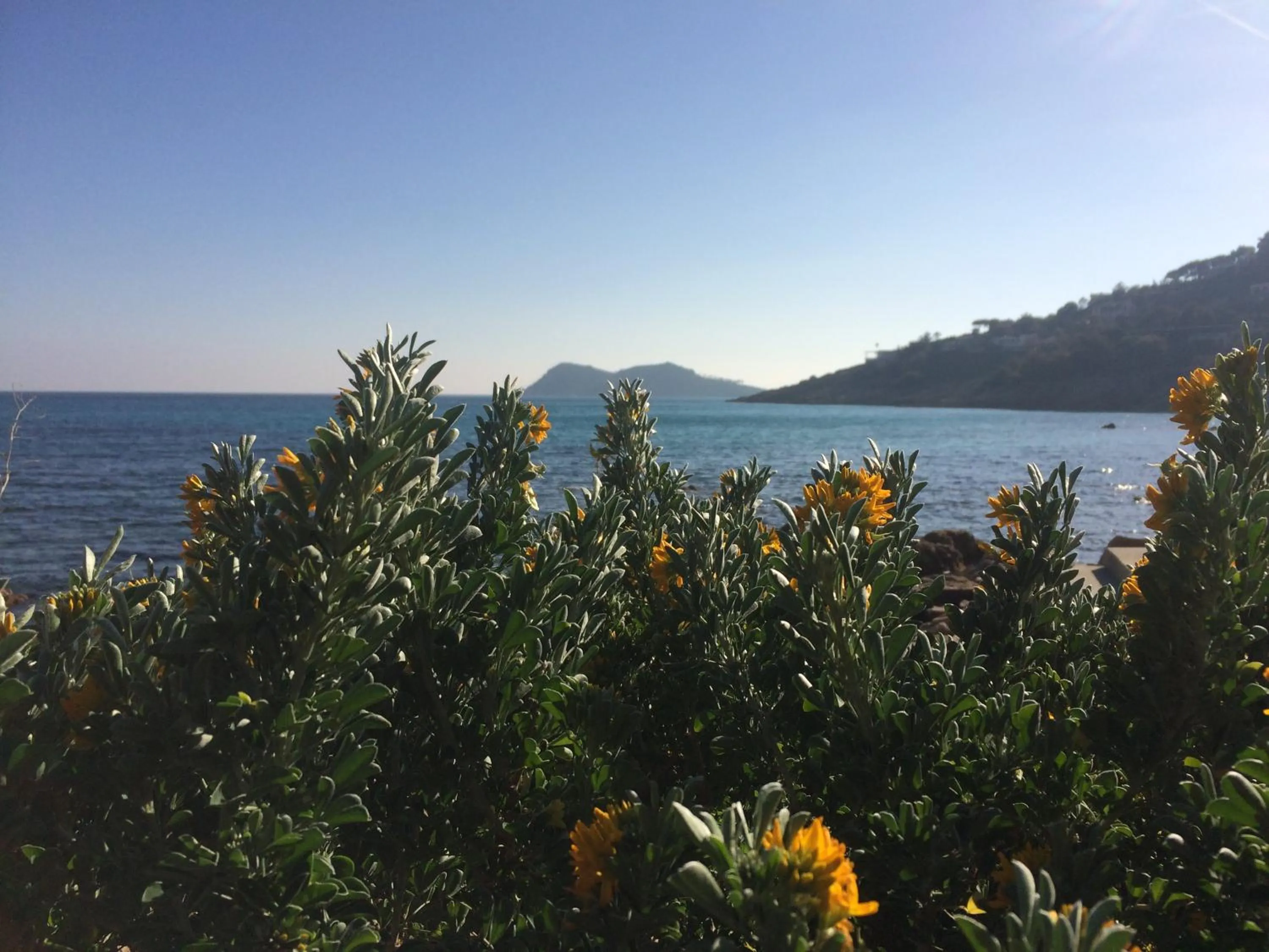 River view in Clos des Vignes Pampelonne Vineyard
