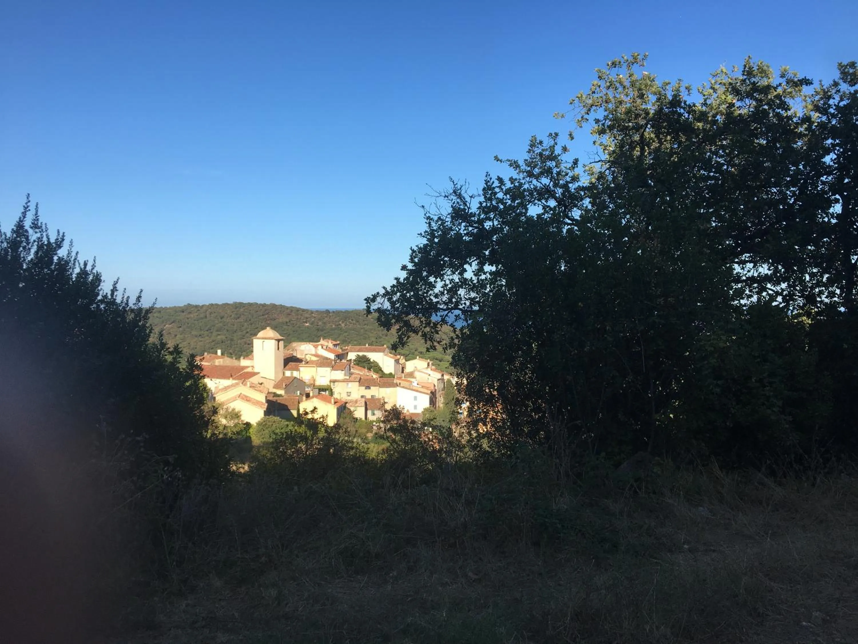 Neighbourhood in Clos des Vignes Pampelonne Vineyard