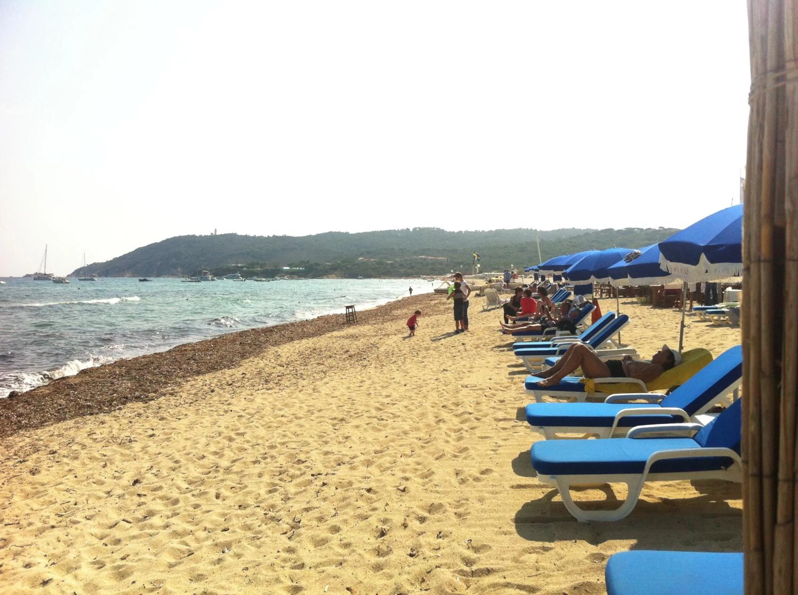 Day in Clos des Vignes Pampelonne Vineyard