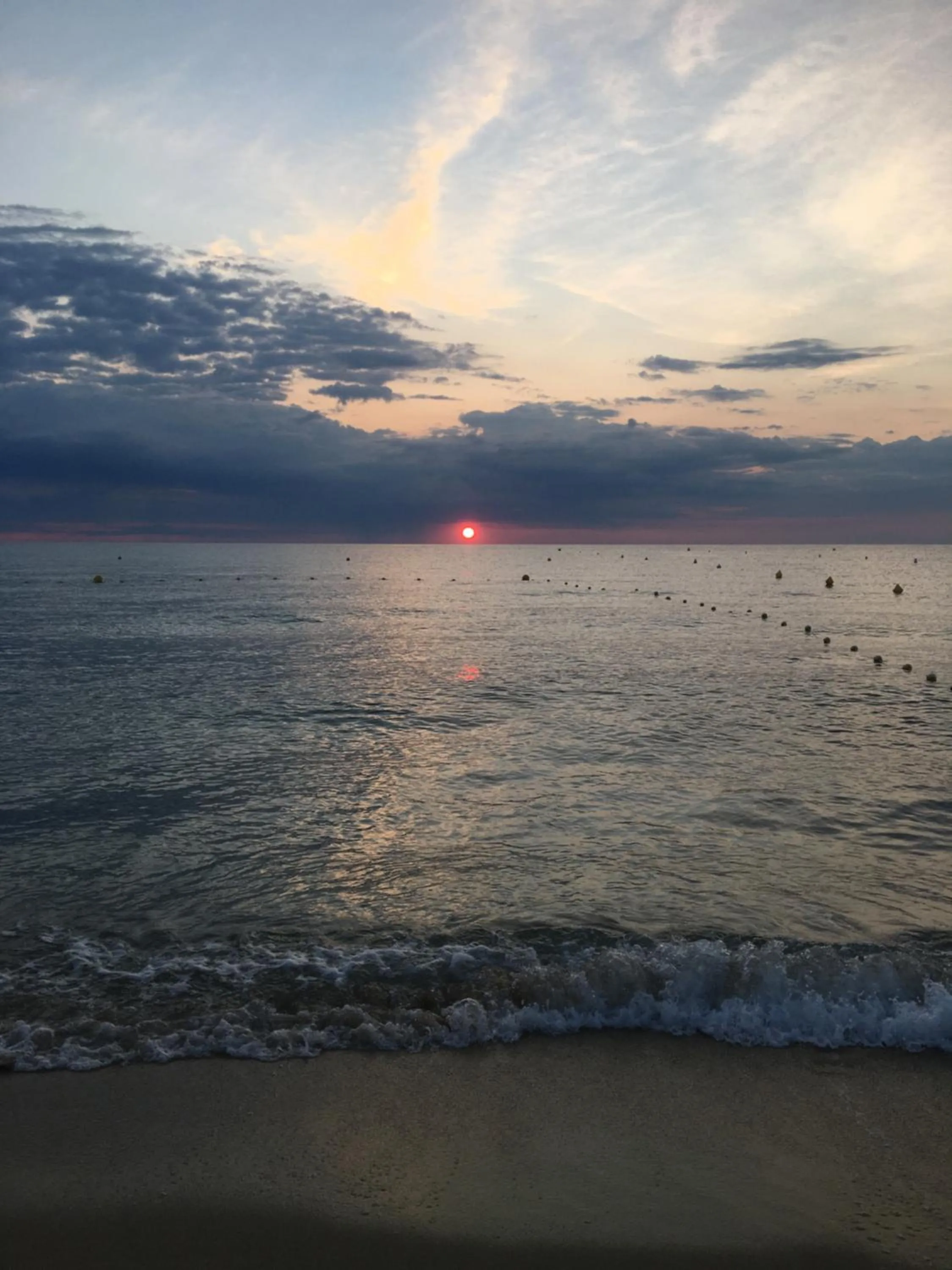 Clos des Vignes Pampelonne Vineyard