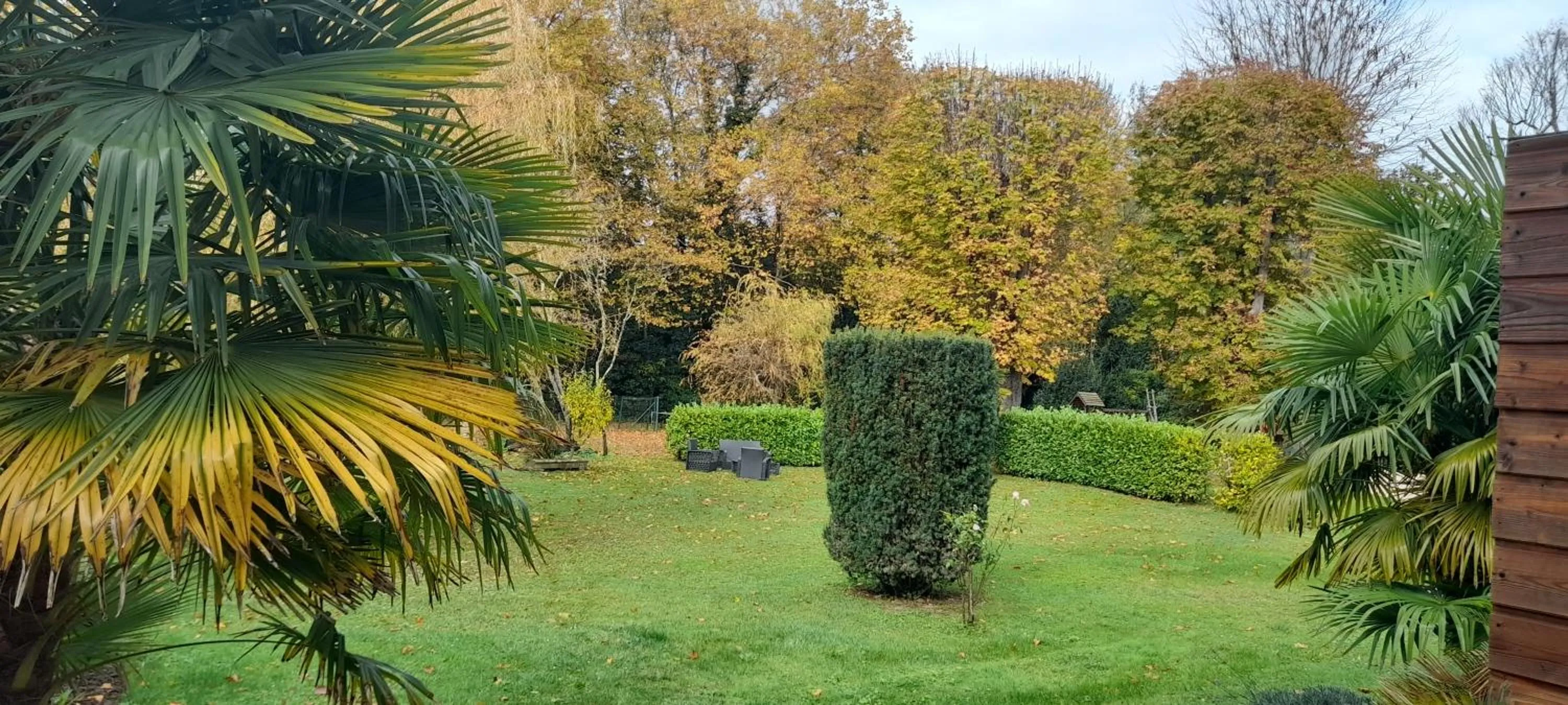 Garden in Hôtel Quai des Pontis