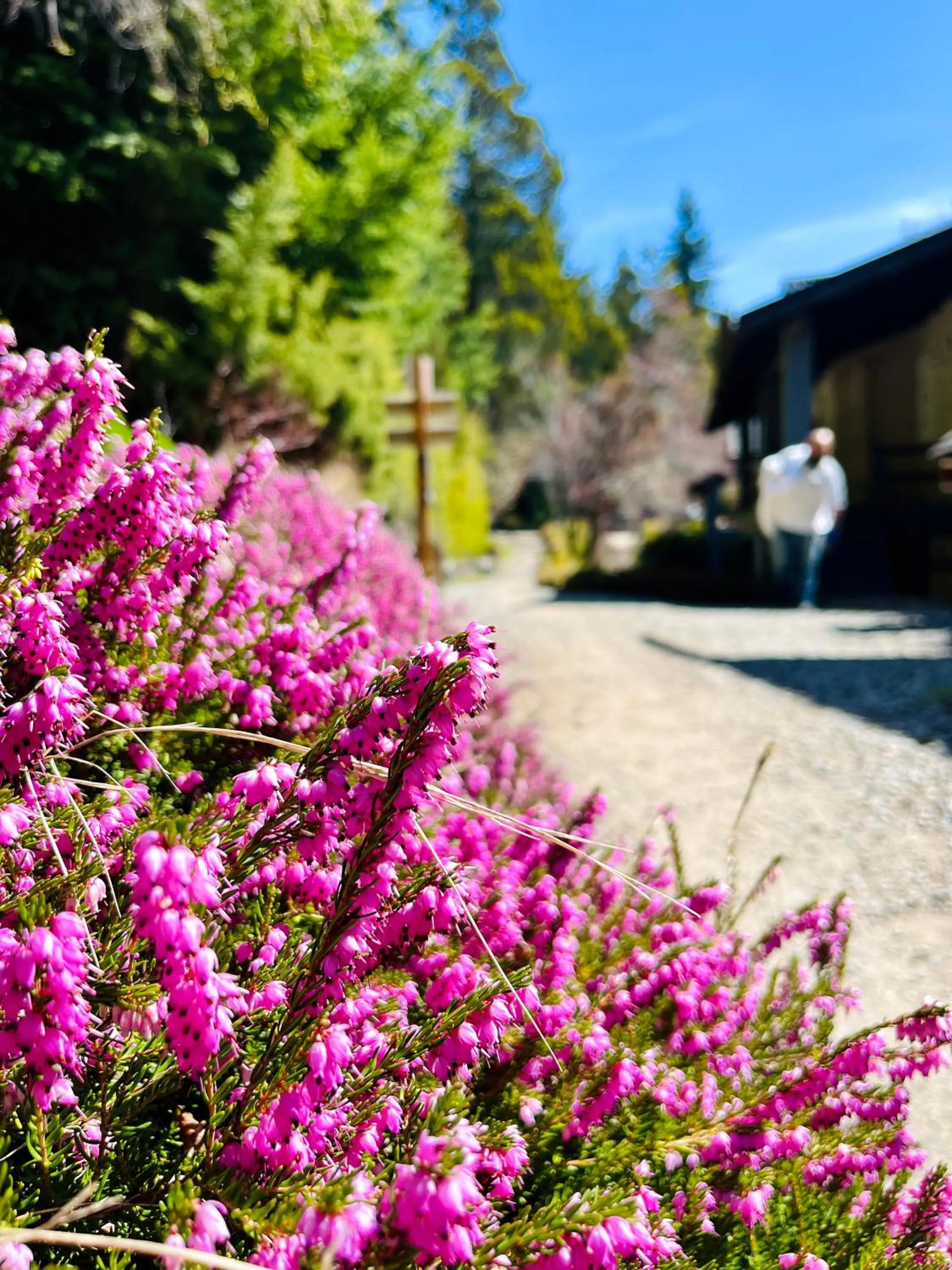 Off site in Aldea Andina Hotel&Spa