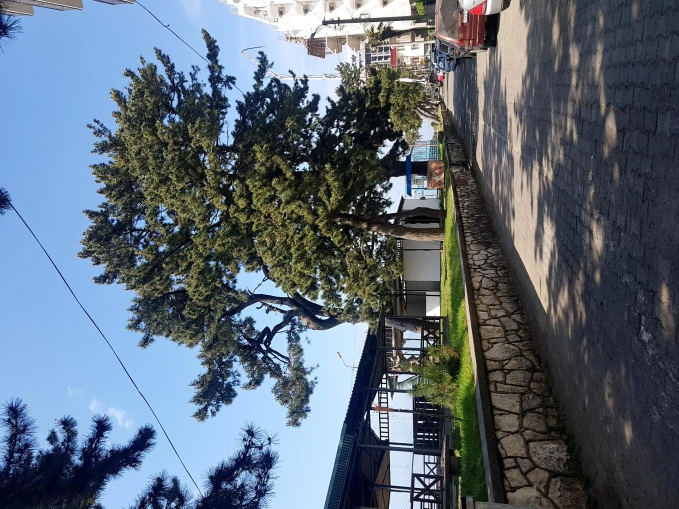 Natural landscape in Relax apartment