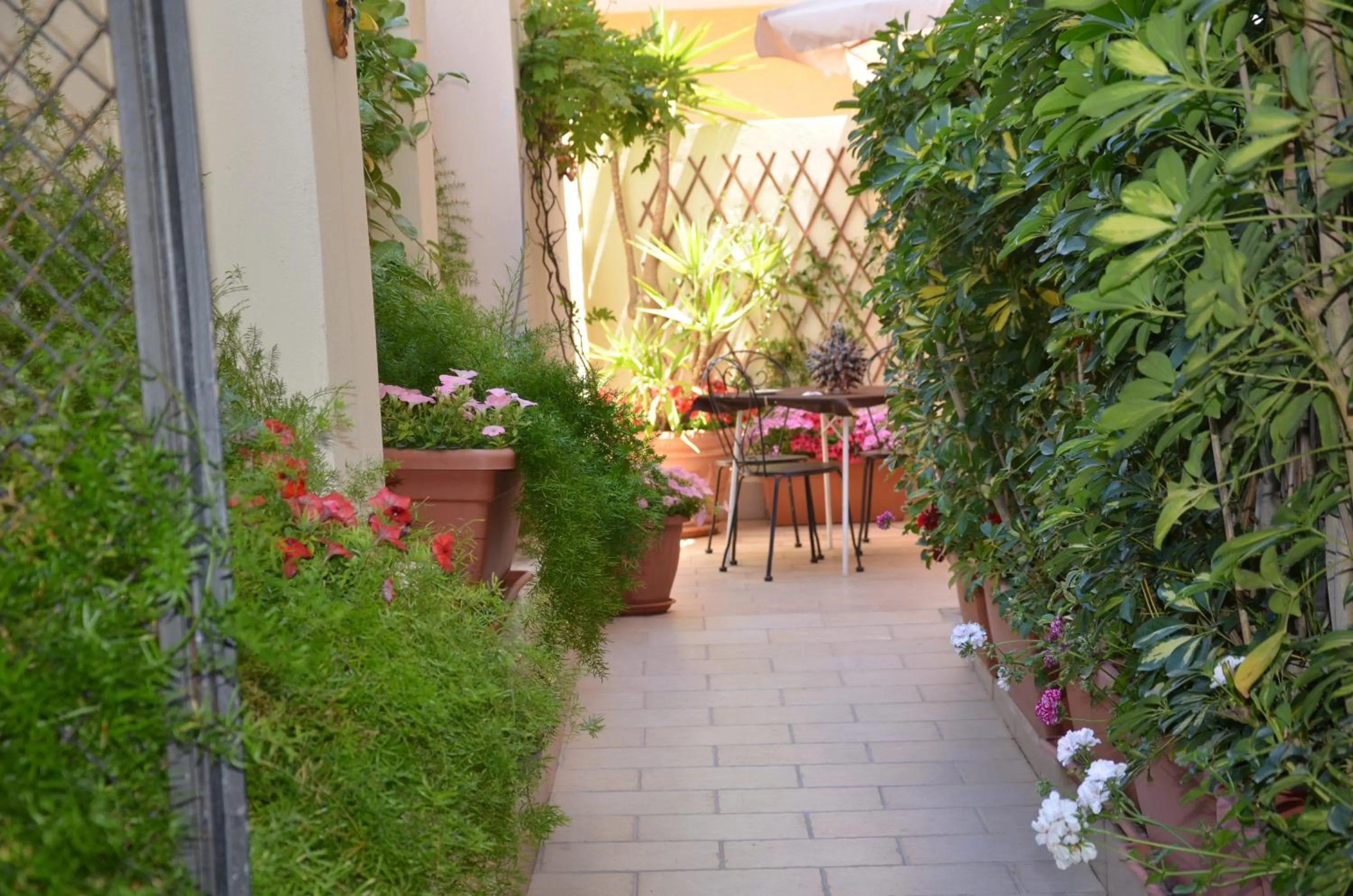 Garden in Possidonea 28