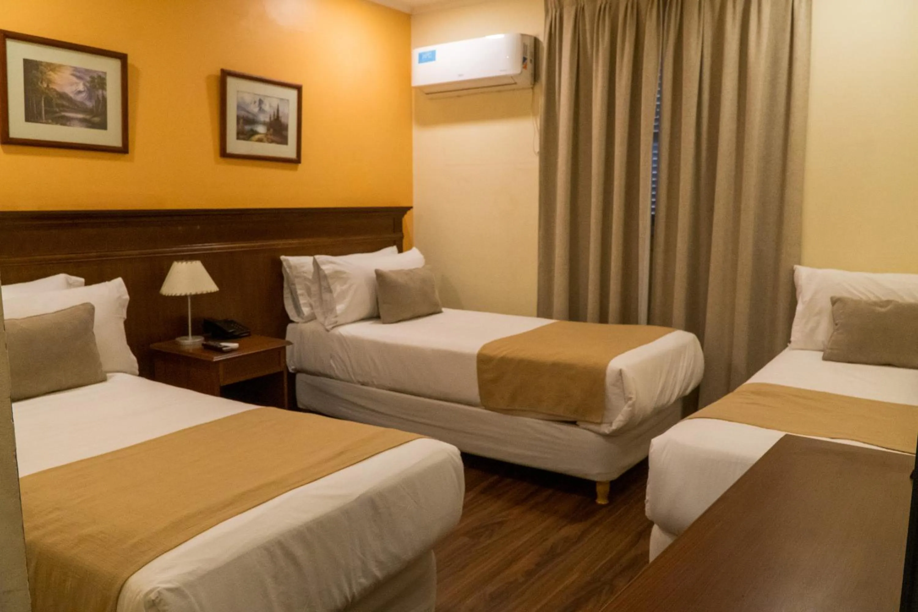 Double Room in Ritz Hotel Mendoza