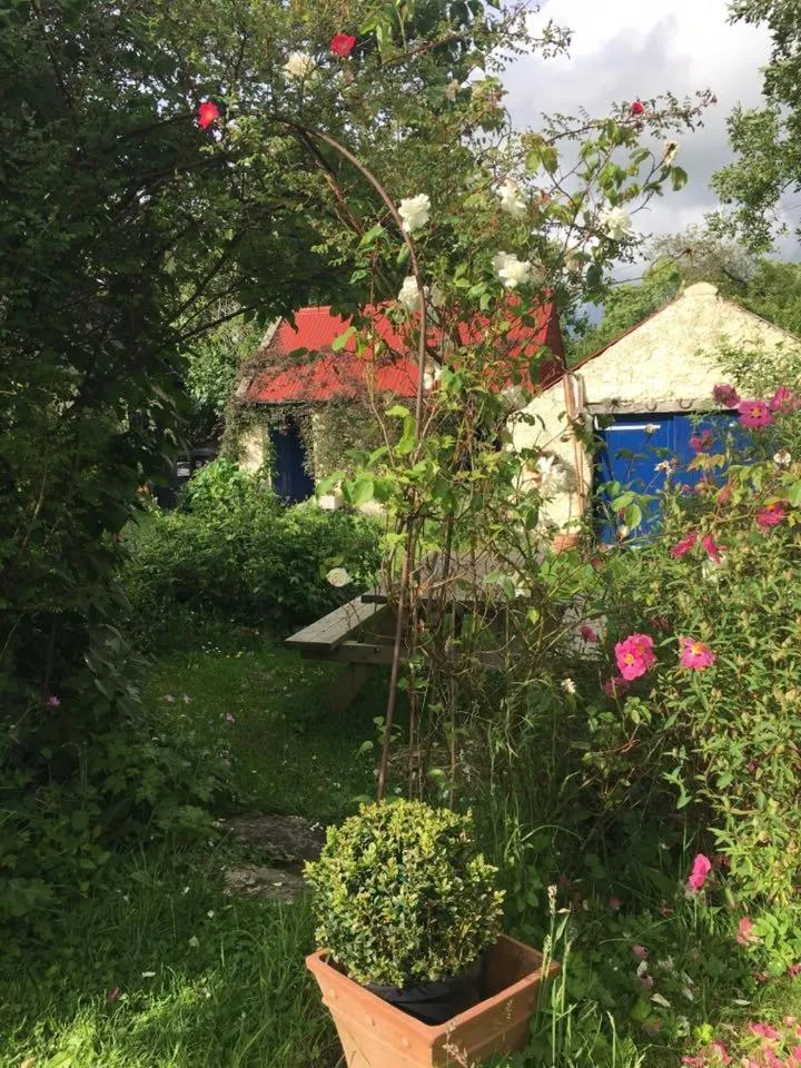 Garden view in Corriebeg Cottage