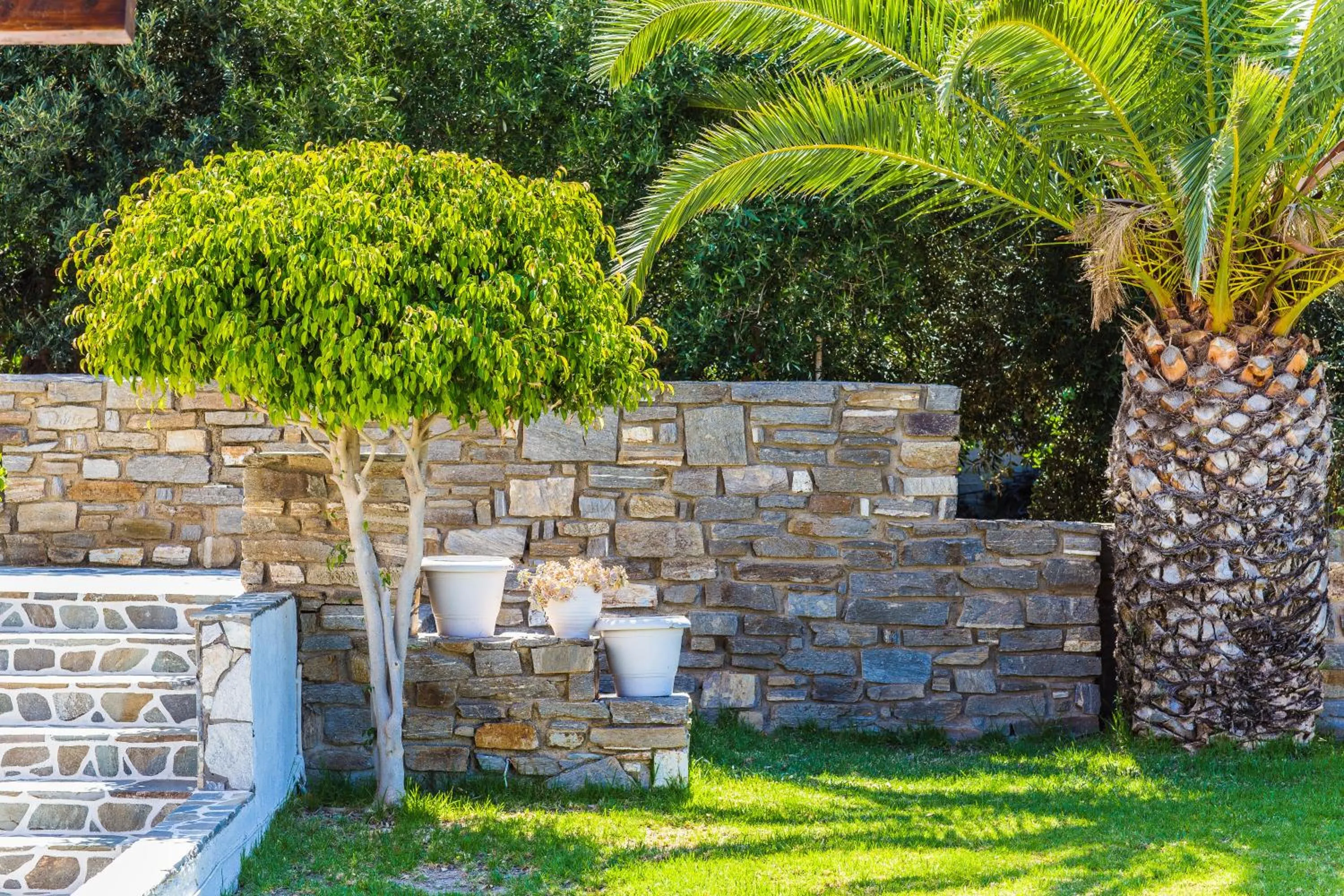 Garden in Roses Beach