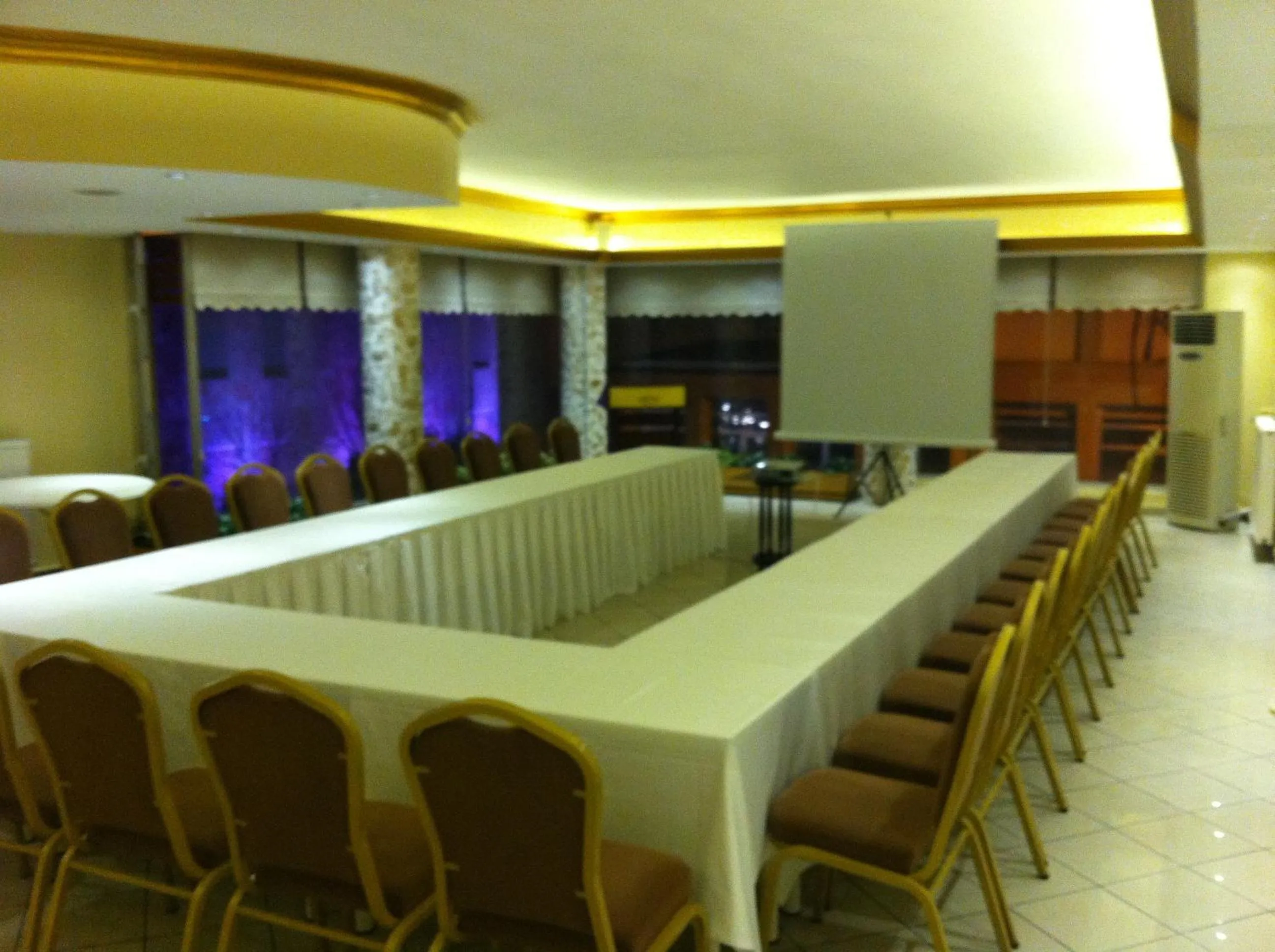 Business facilities in Hotel Artiç