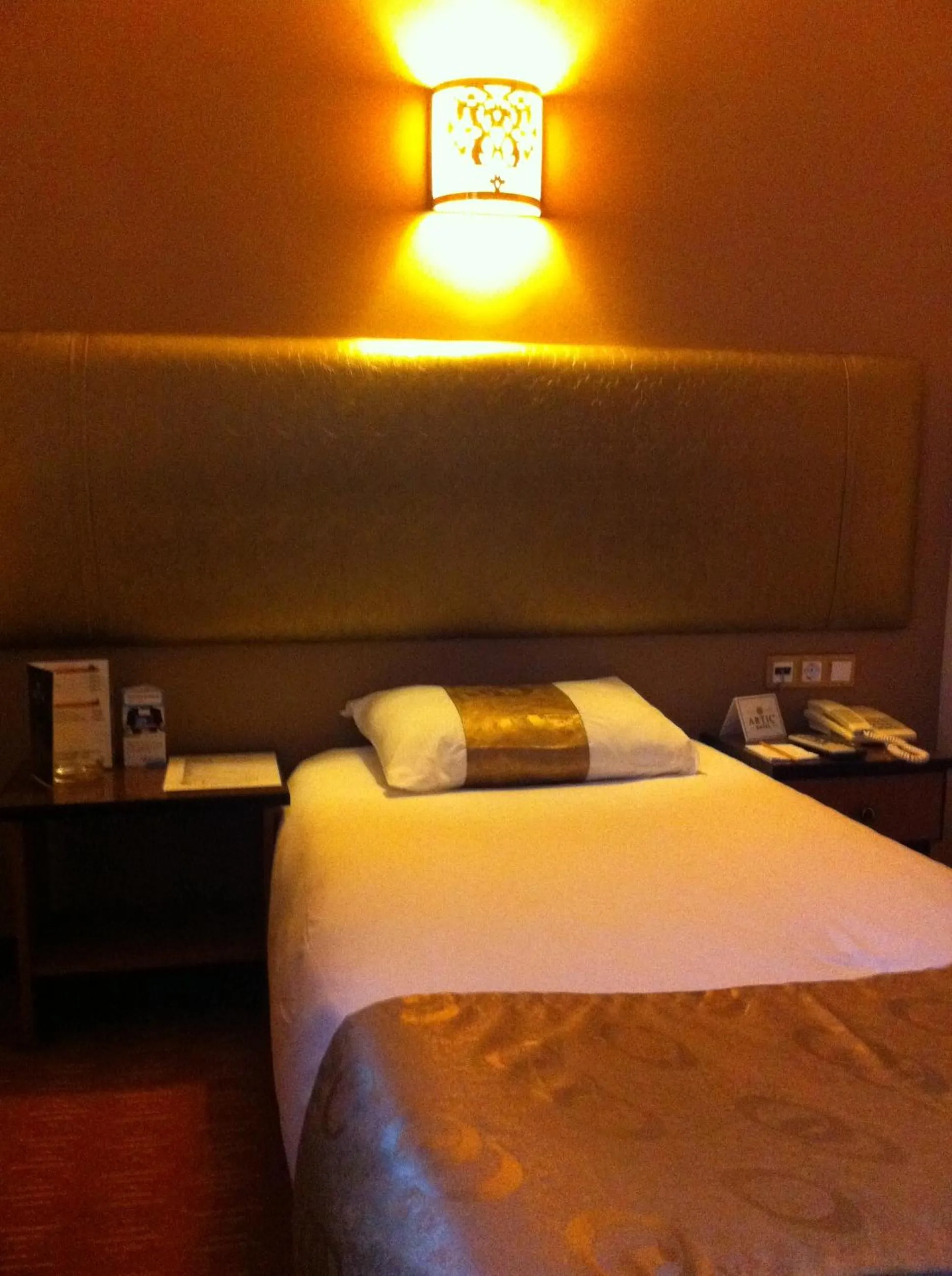 Photo of the whole room in Hotel Artiç