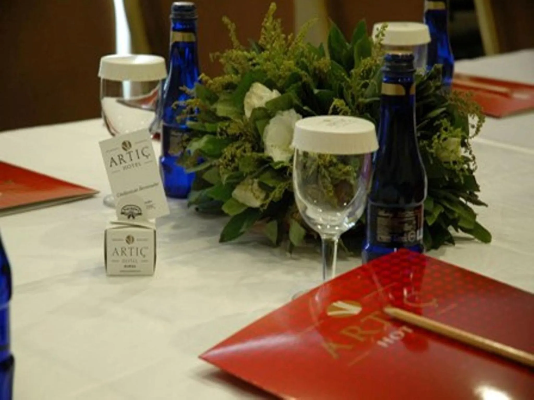 Business facilities in Hotel Artiç