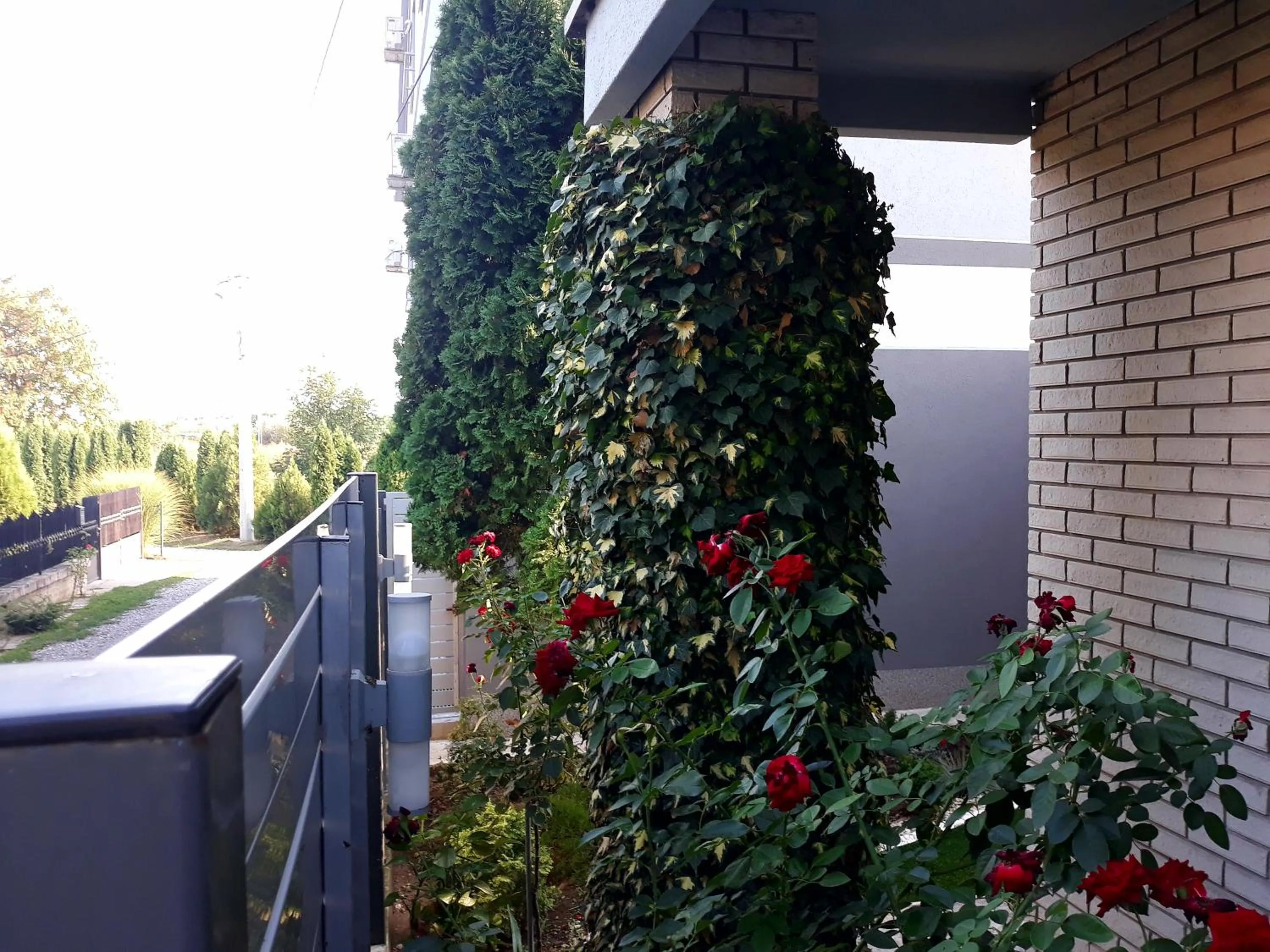 Property building in Apartments Popovic