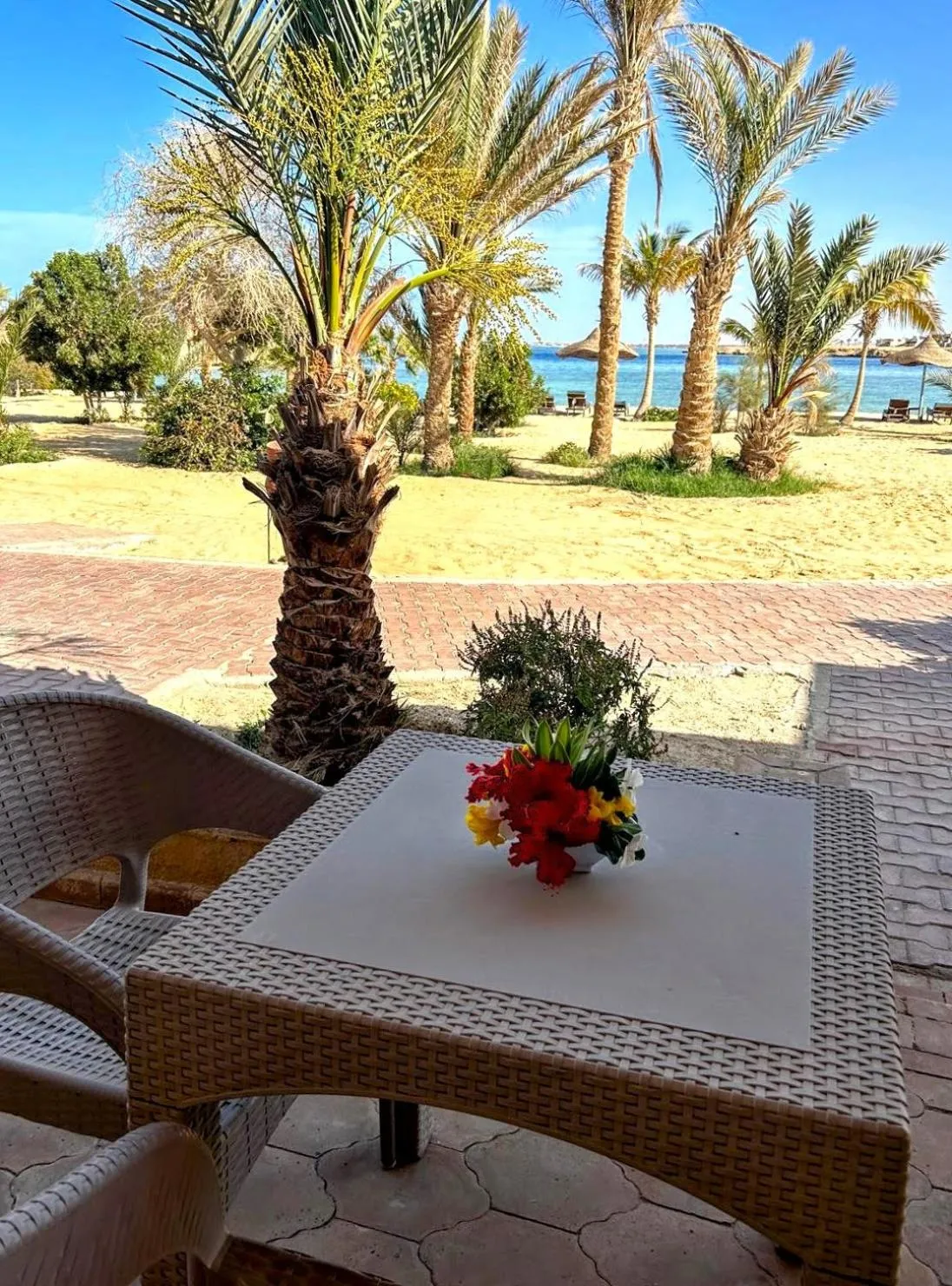 Balcony/Terrace in Mangrove Bay Resort