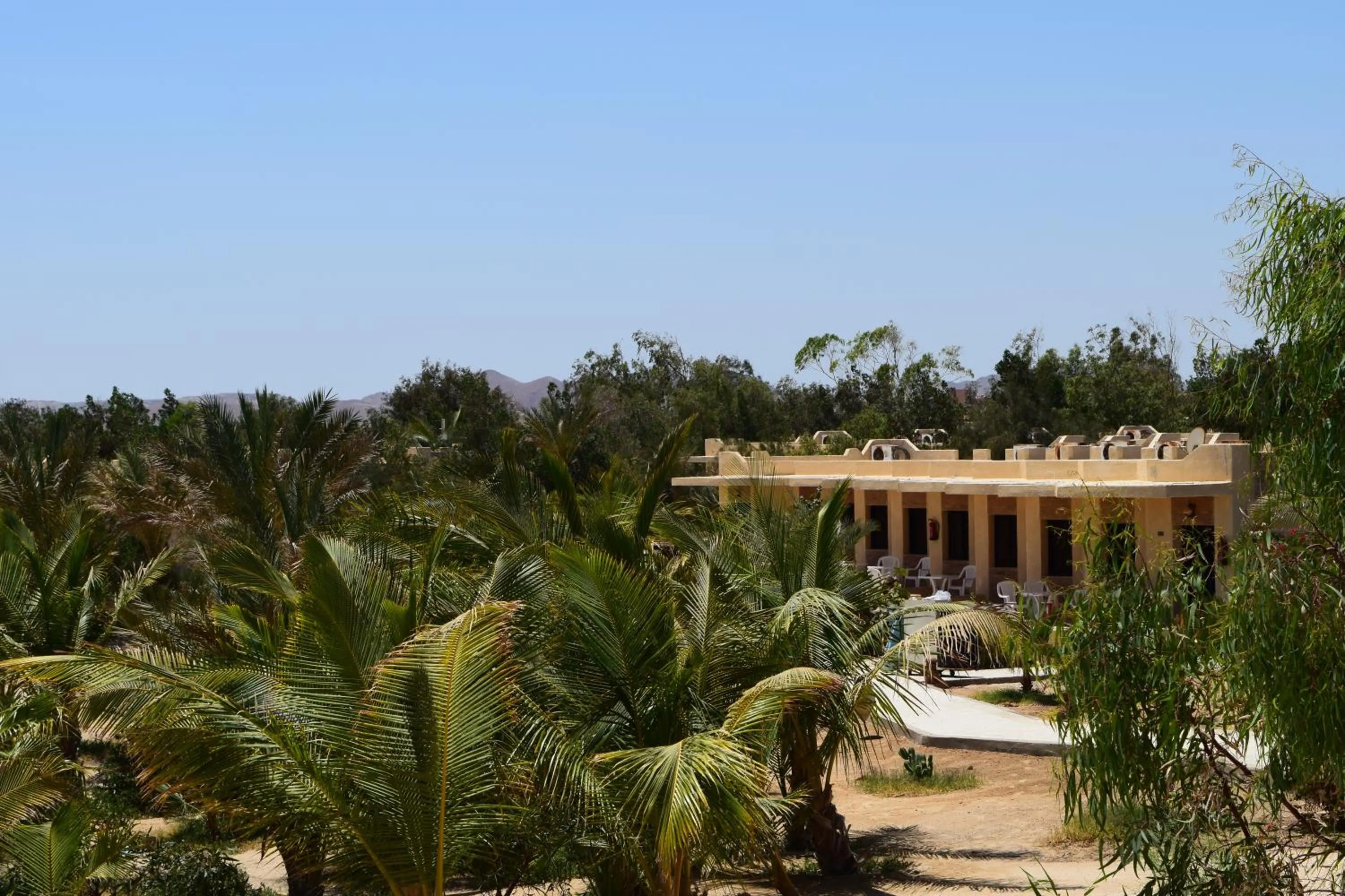 Guests in Mangrove Bay Resort