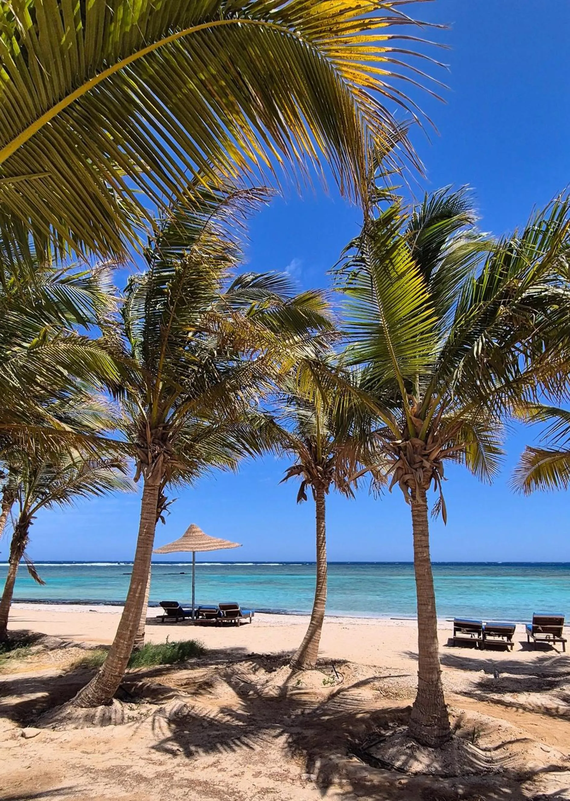 Natural landscape in Mangrove Bay Resort