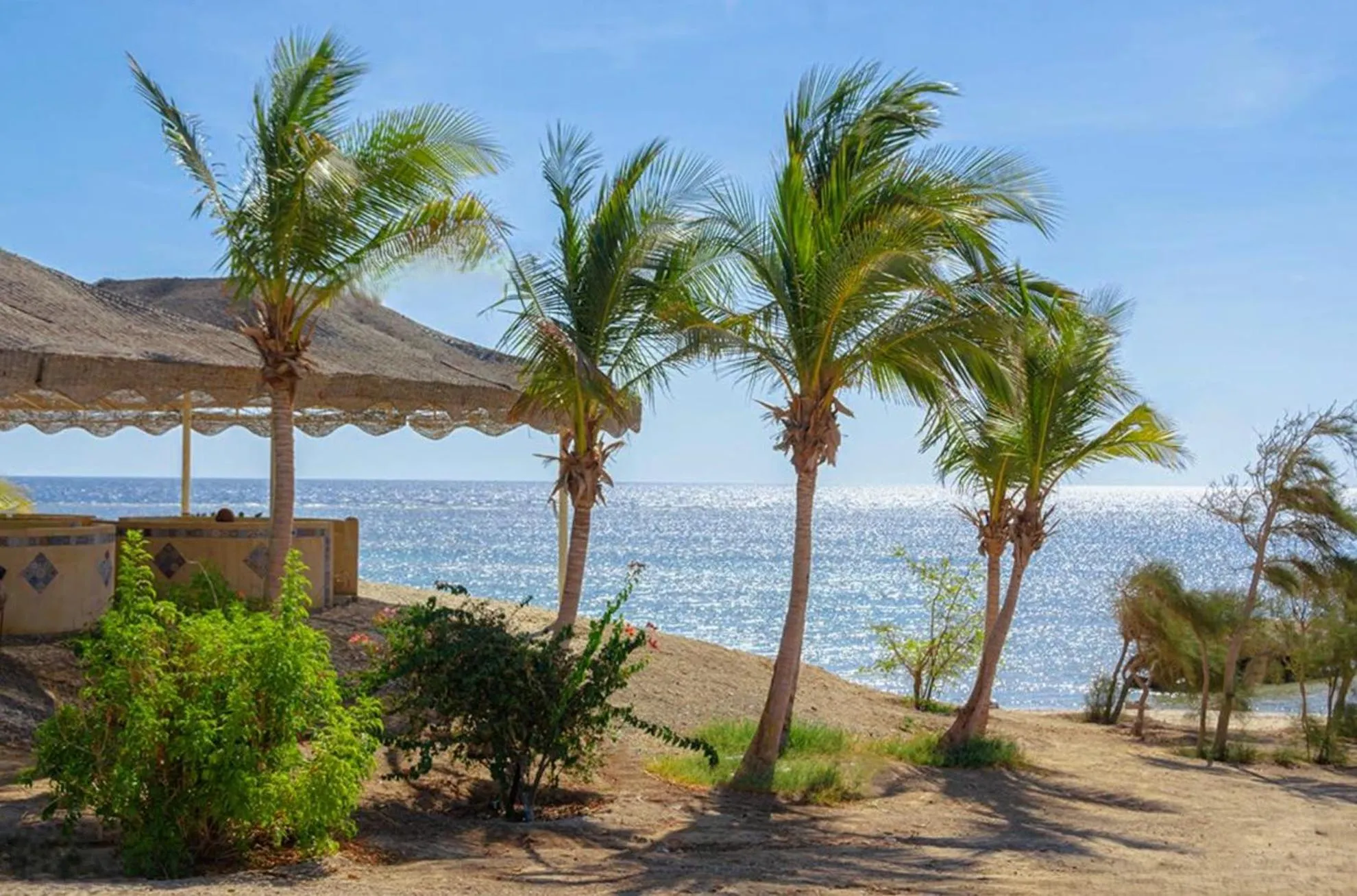 Natural landscape in Mangrove Bay Resort