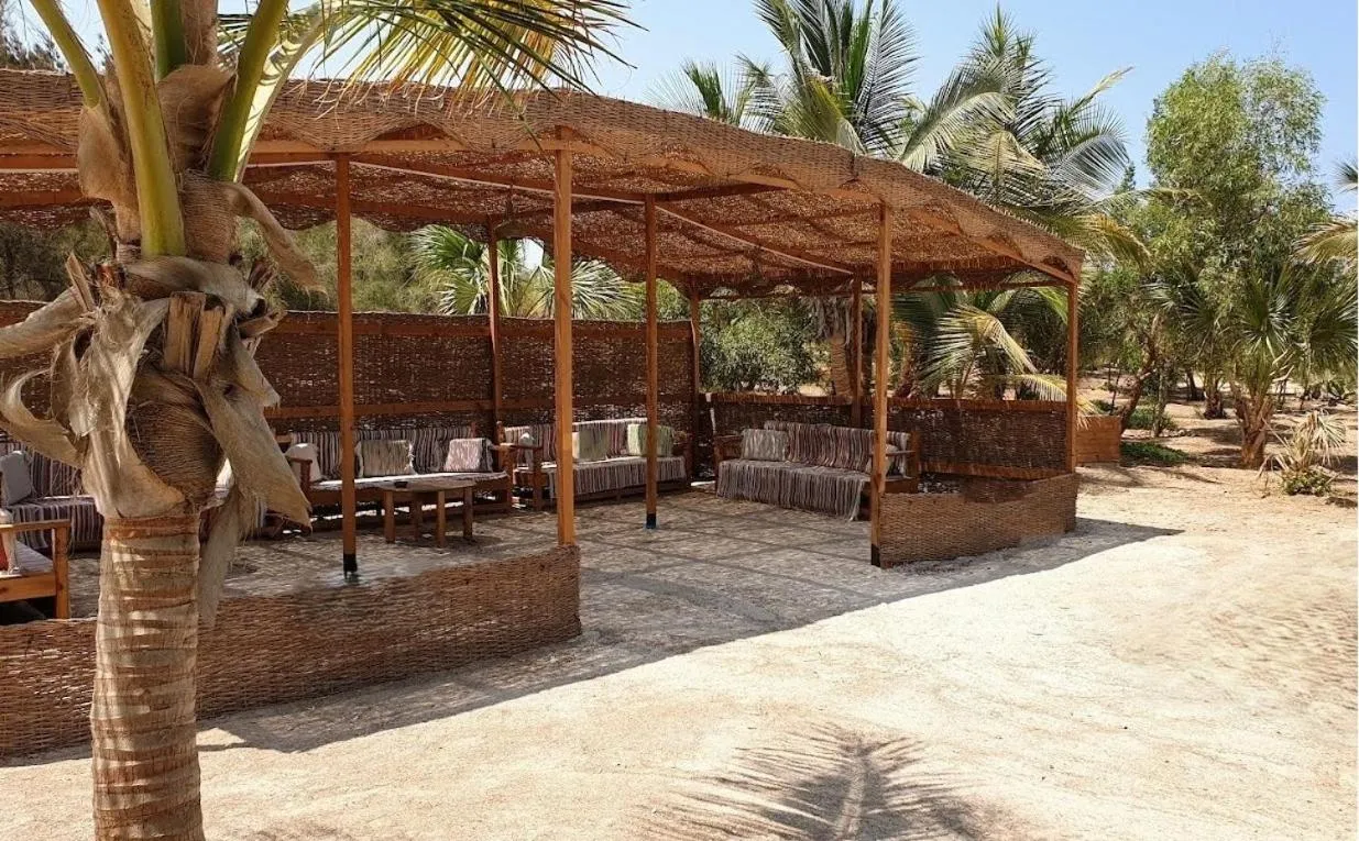 Beach in Mangrove Bay Resort