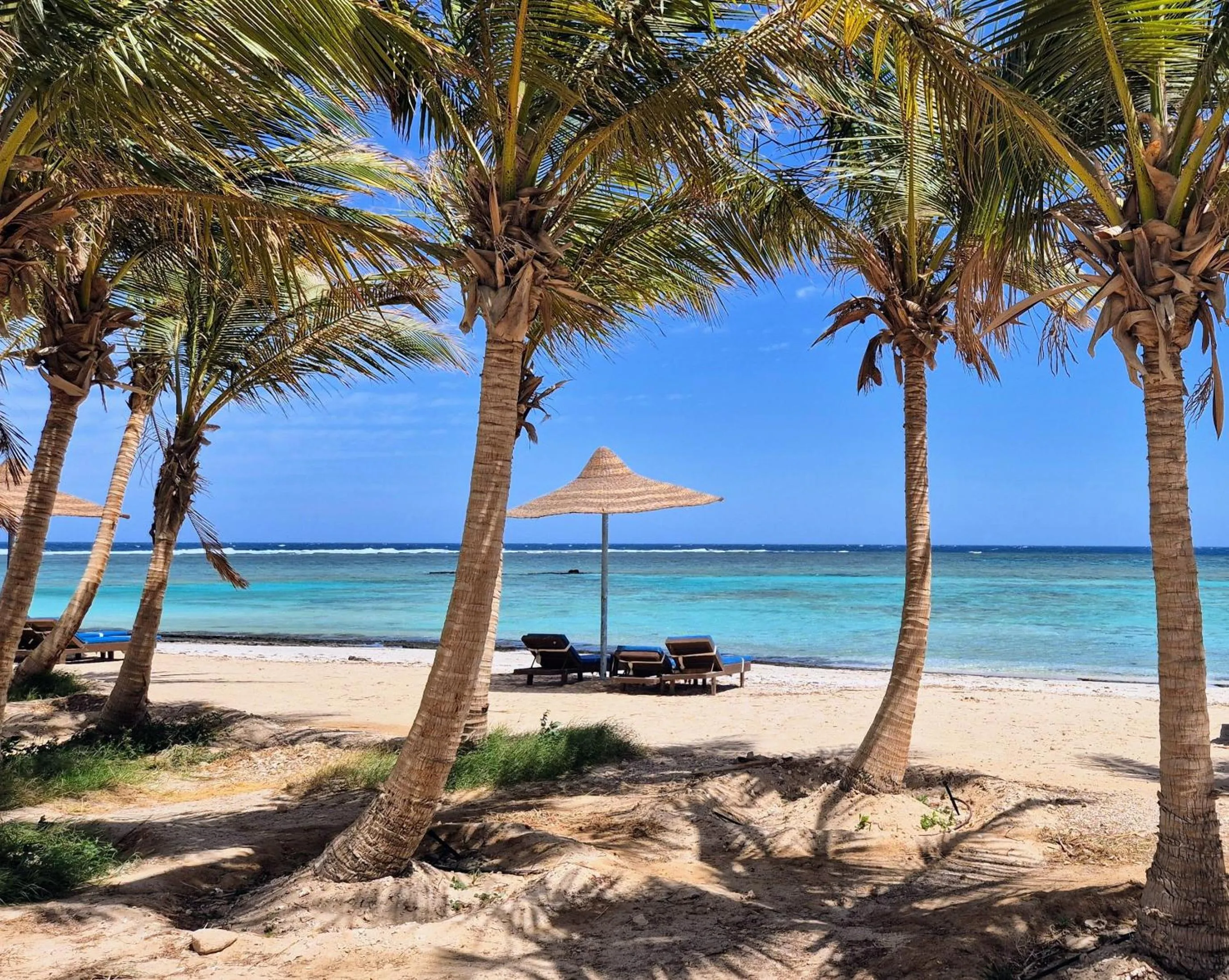 Natural landscape in Mangrove Bay Resort