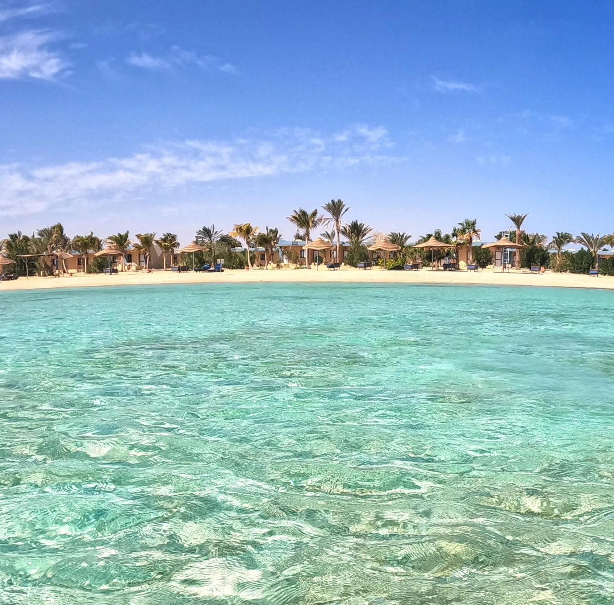 Natural landscape in Mangrove Bay Resort