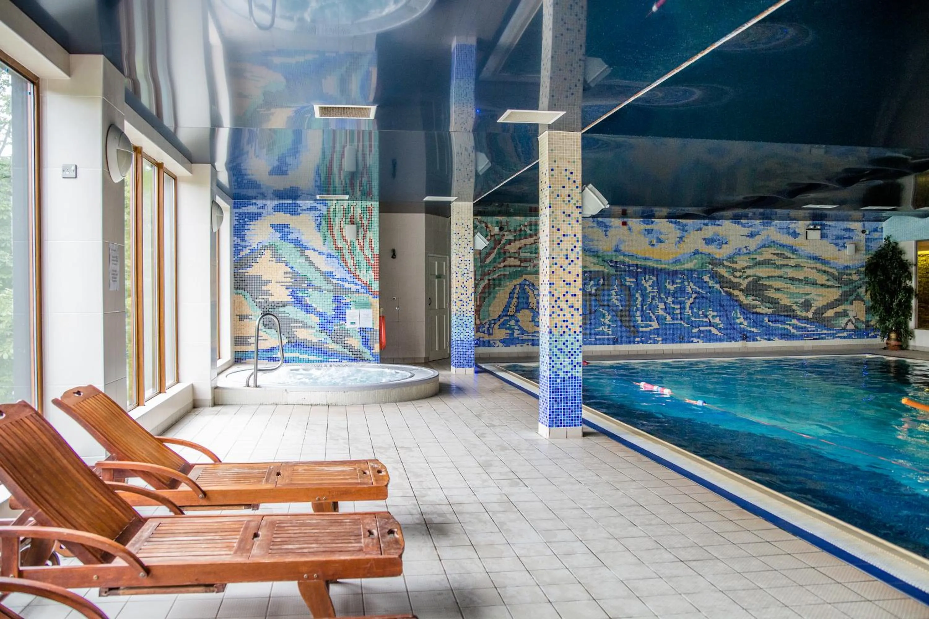 Sauna in Falls Hotel & Spa