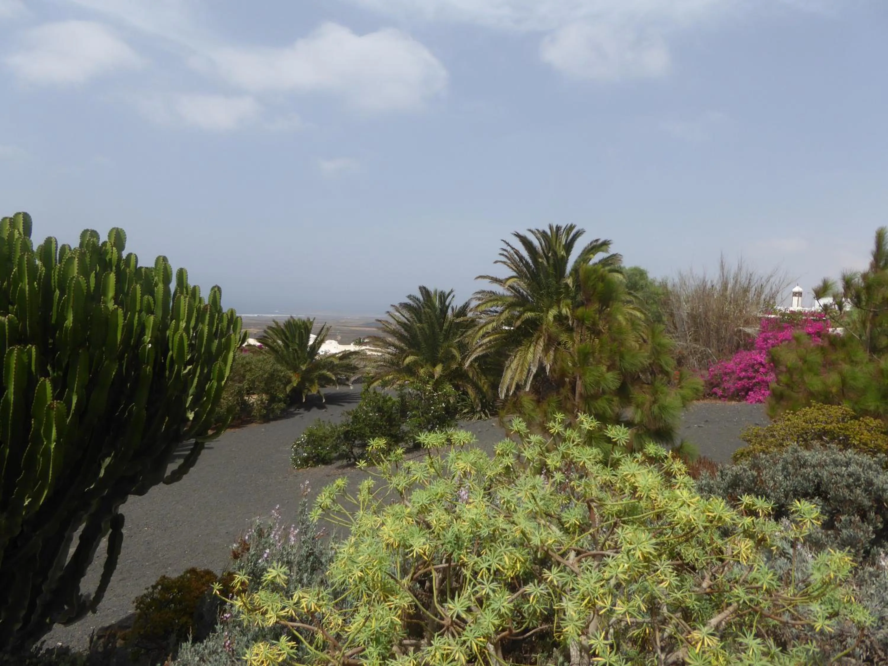 Garden view in Villa El Inti
