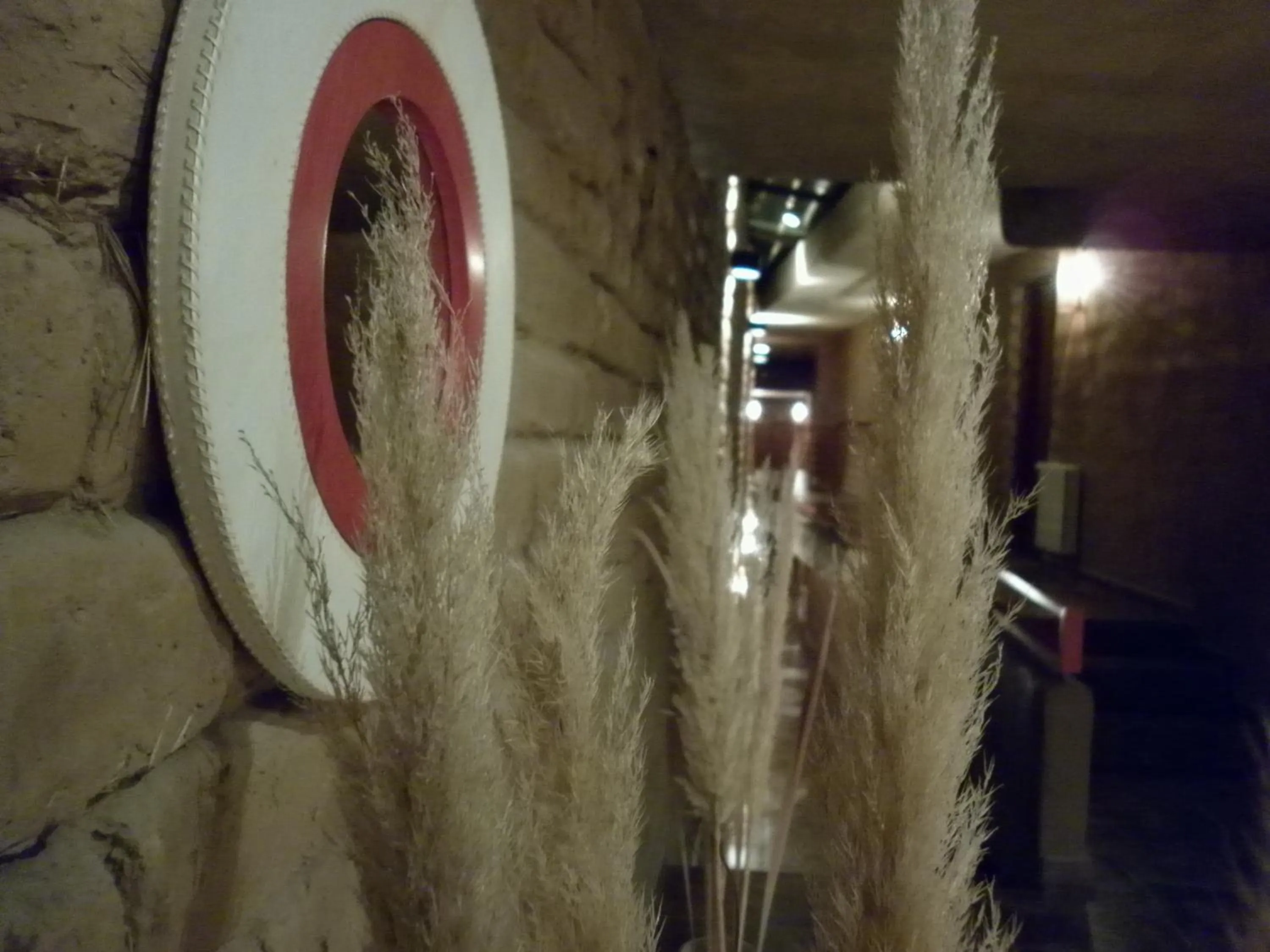 Other in Vientonorte