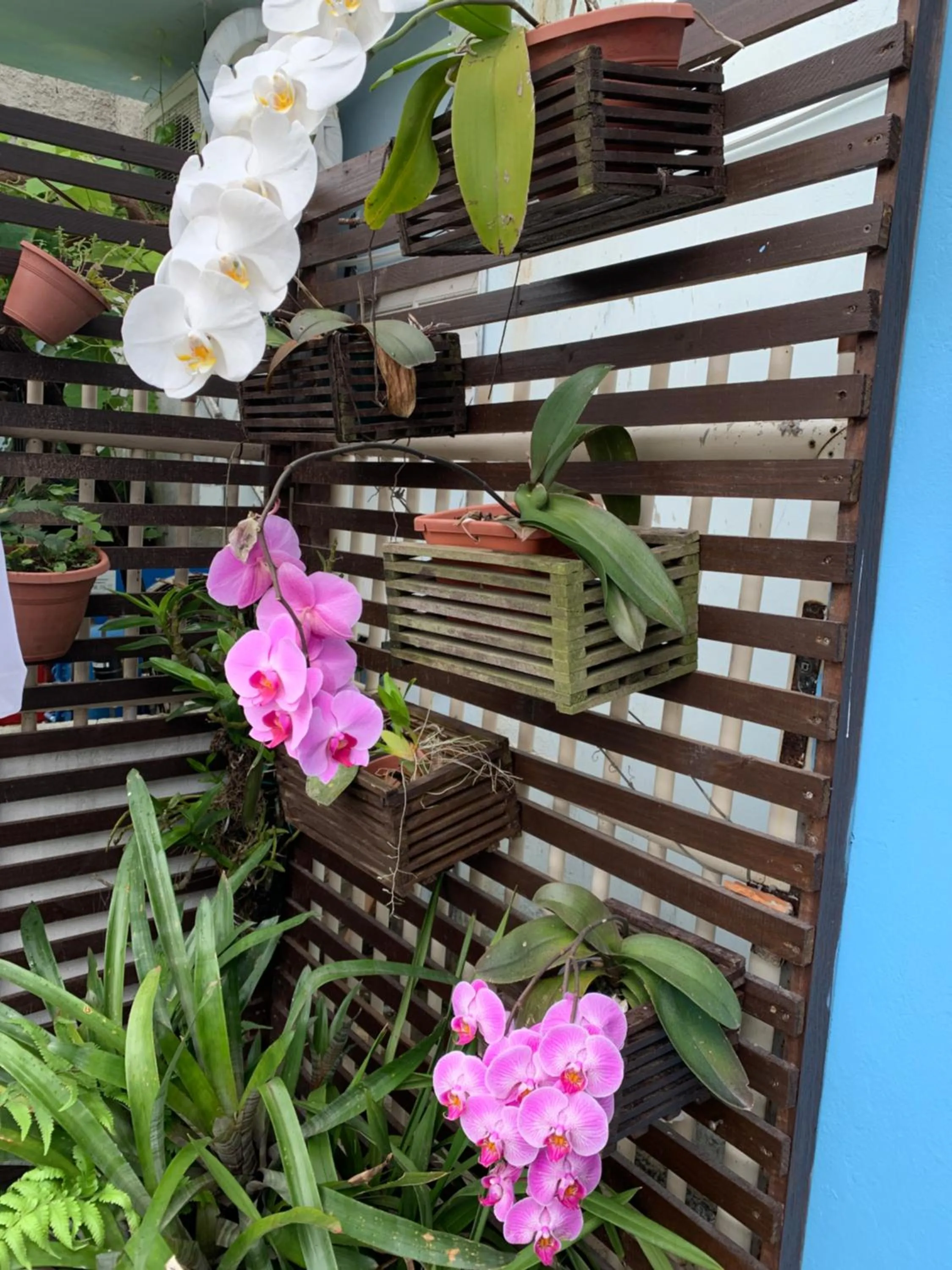 Patio in Recanto da Sol