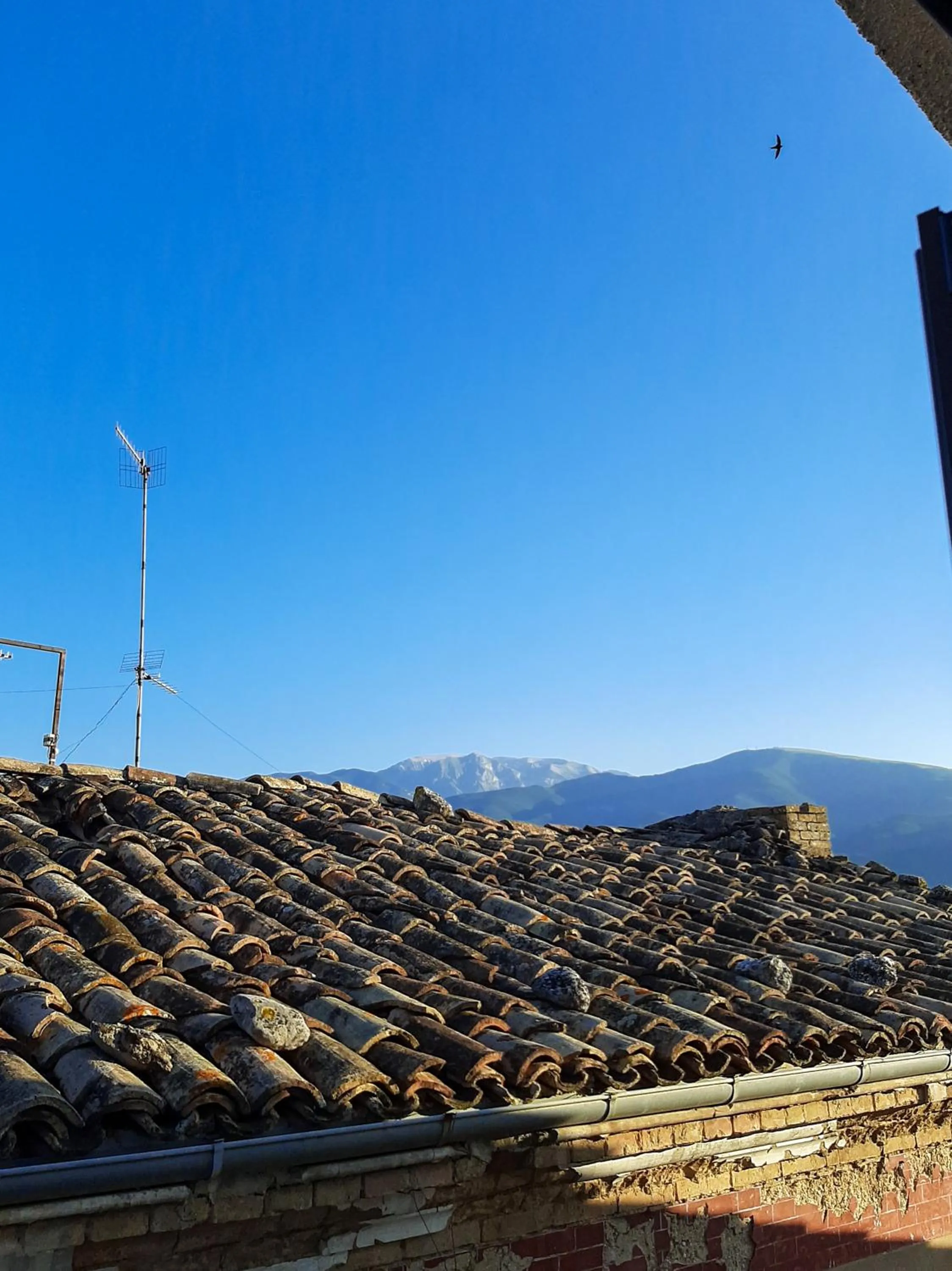 View (from property/room) in Bed & Breakfast "Il Ghiro"