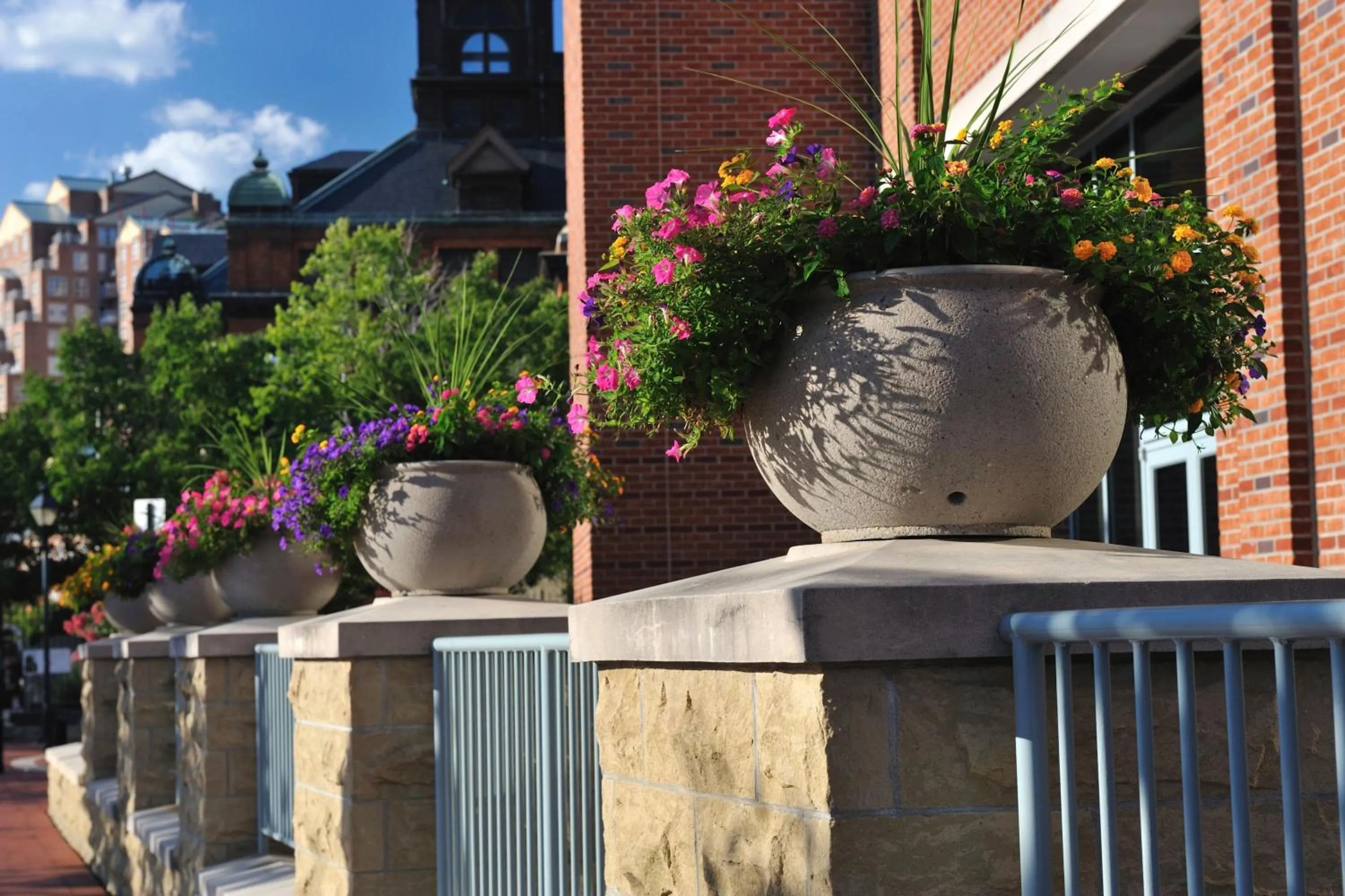 View (from property/room) in Baltimore Marriott Waterfront