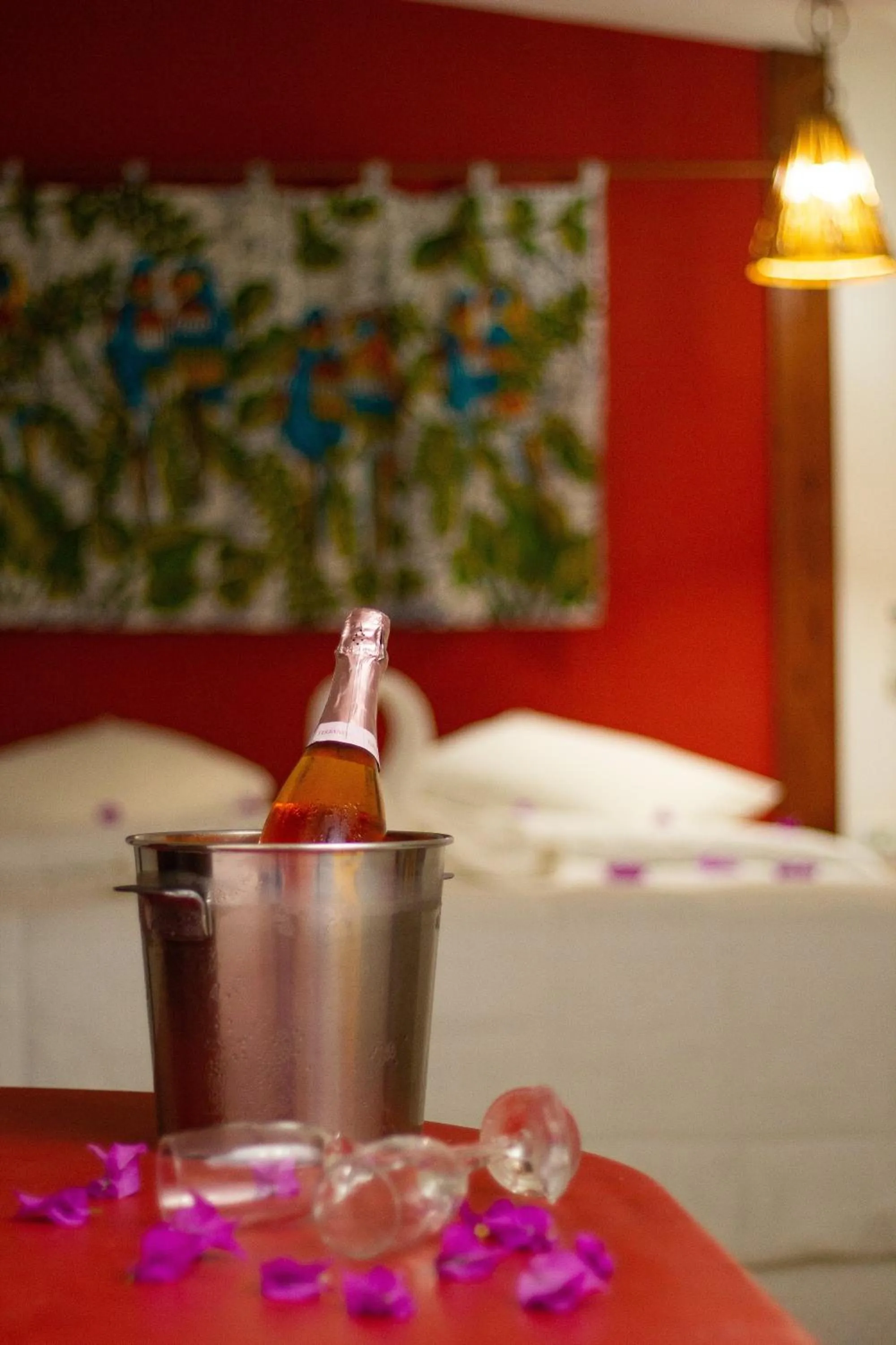 Drinks in Pousada Barra Velha