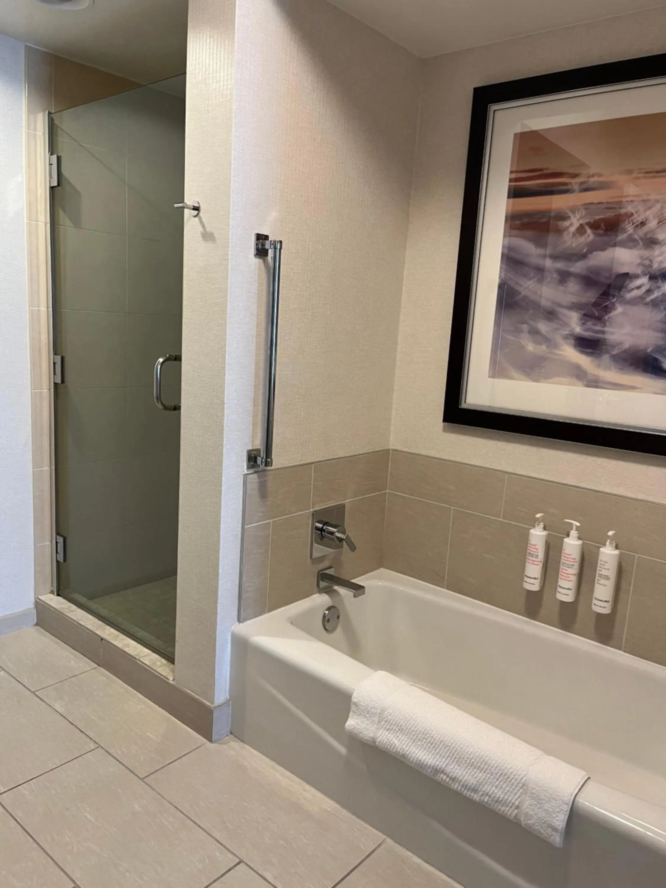 Bathroom in Chicago Marriott Suites O'Hare