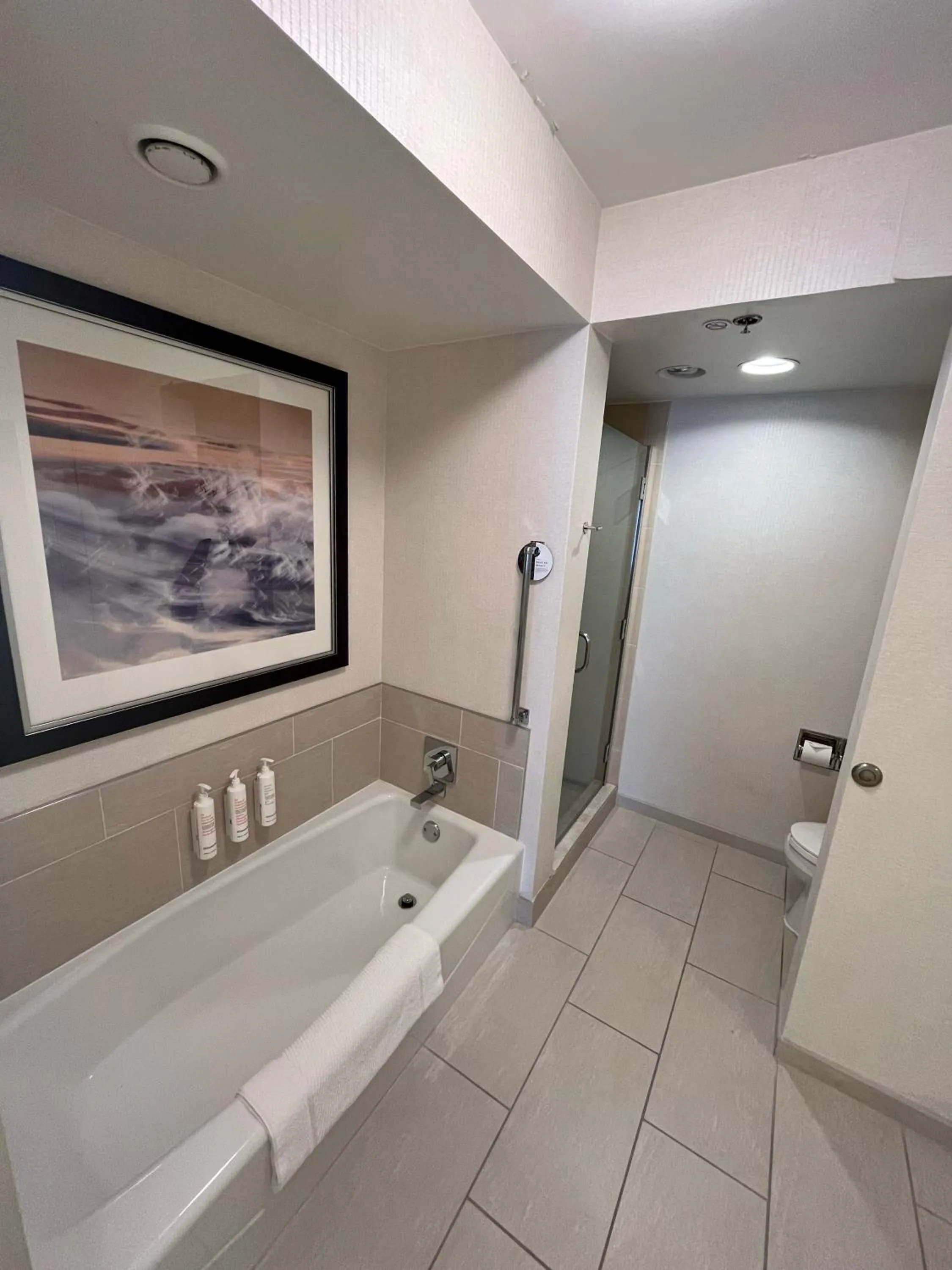 One-Bedroom King Suite with Sofa Bed and Adapted Tub - Mobility and Hearing Accessible/High Floor in Chicago Marriott Suites O'Hare