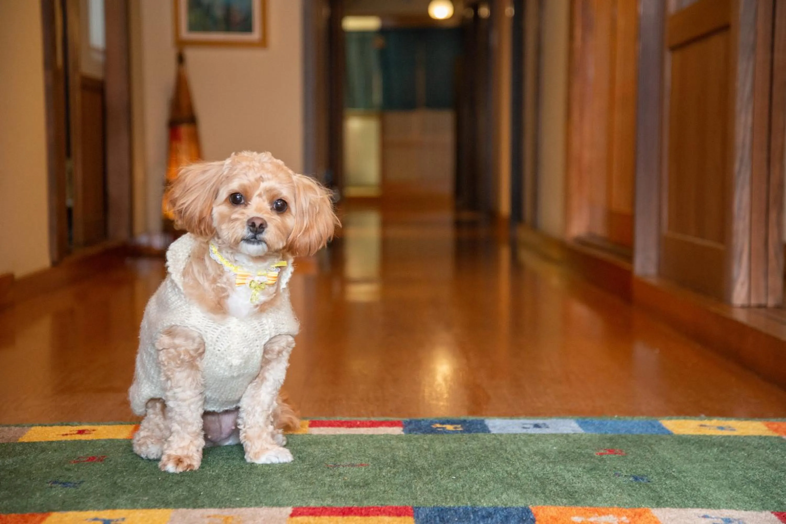 Staff in Azuma Ryokan