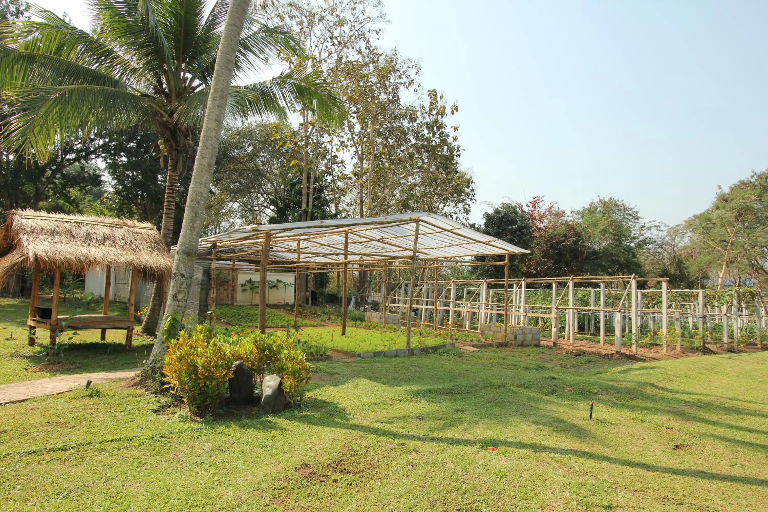 Garden in Le Palais Juliana