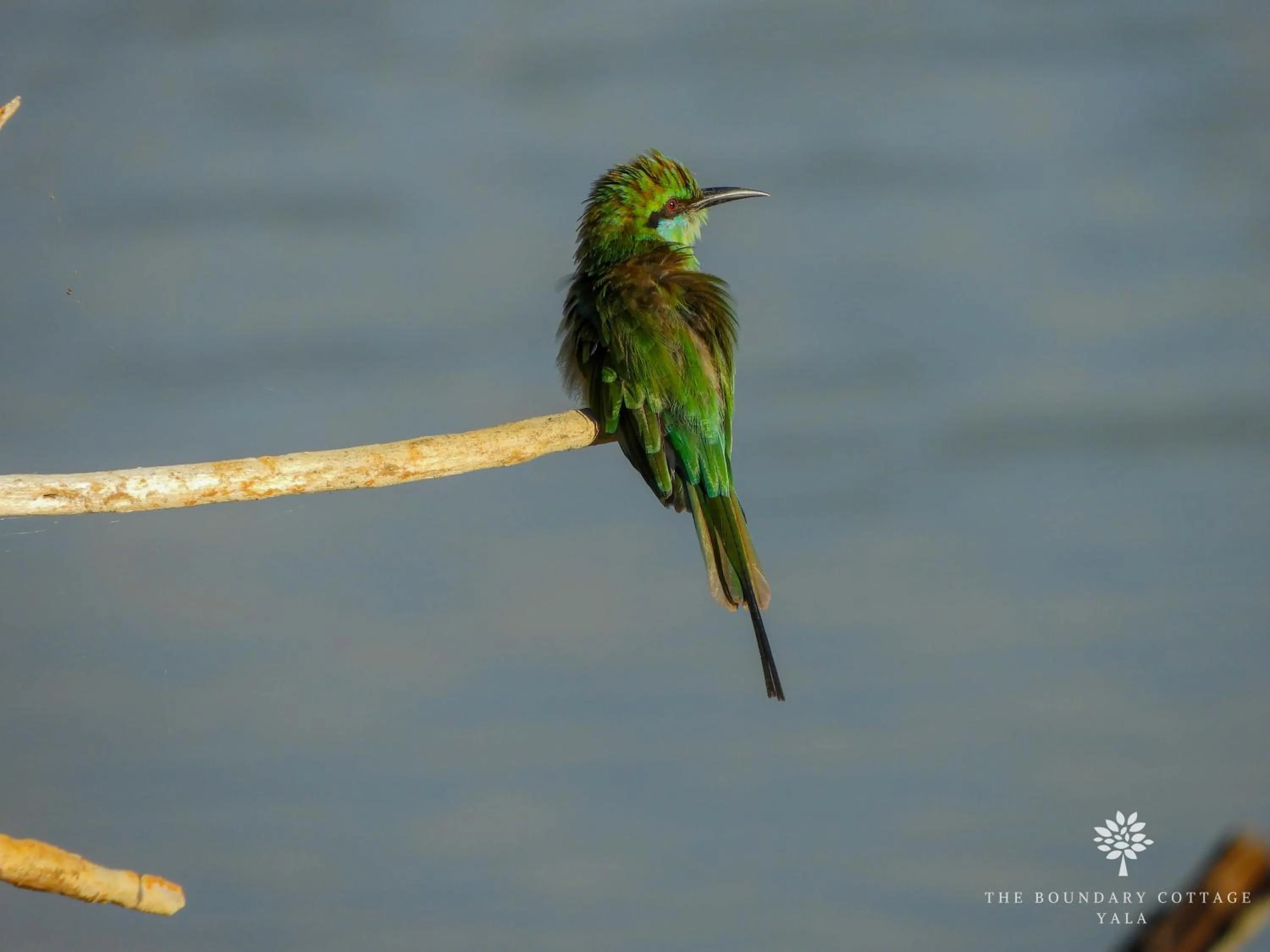 Natural landscape in The Boundary Yala