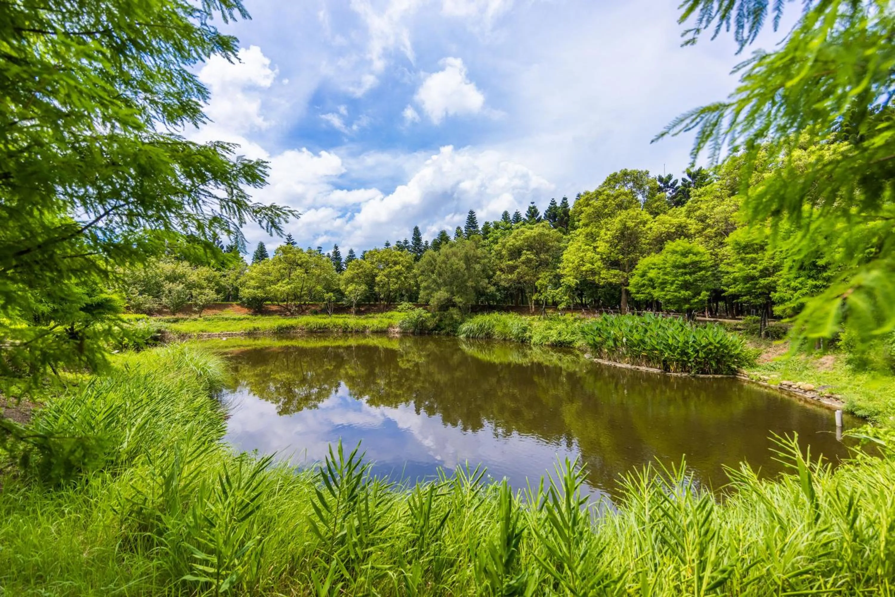 Natural landscape in South Garden Hotels And Resorts