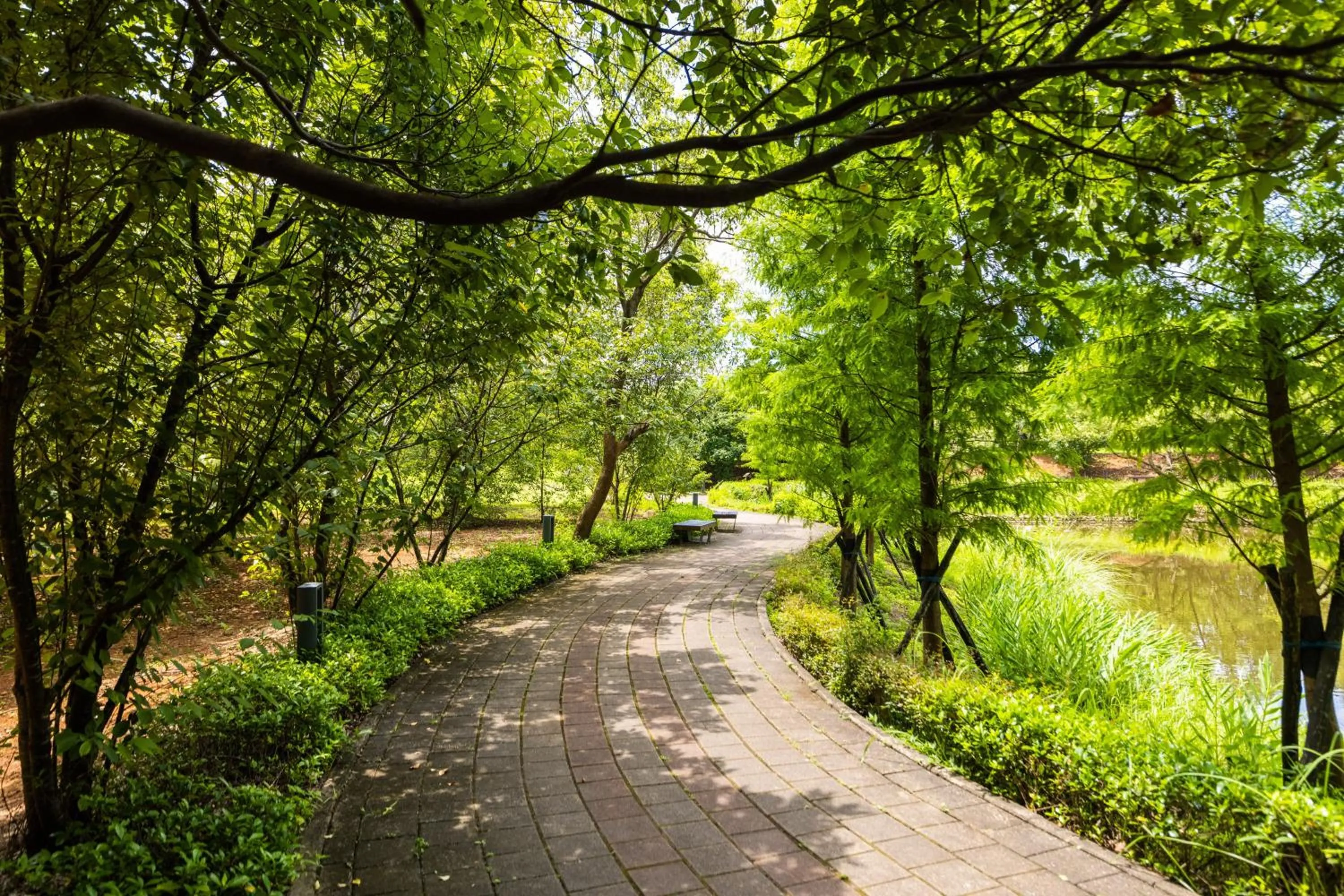 Natural landscape in South Garden Hotels And Resorts