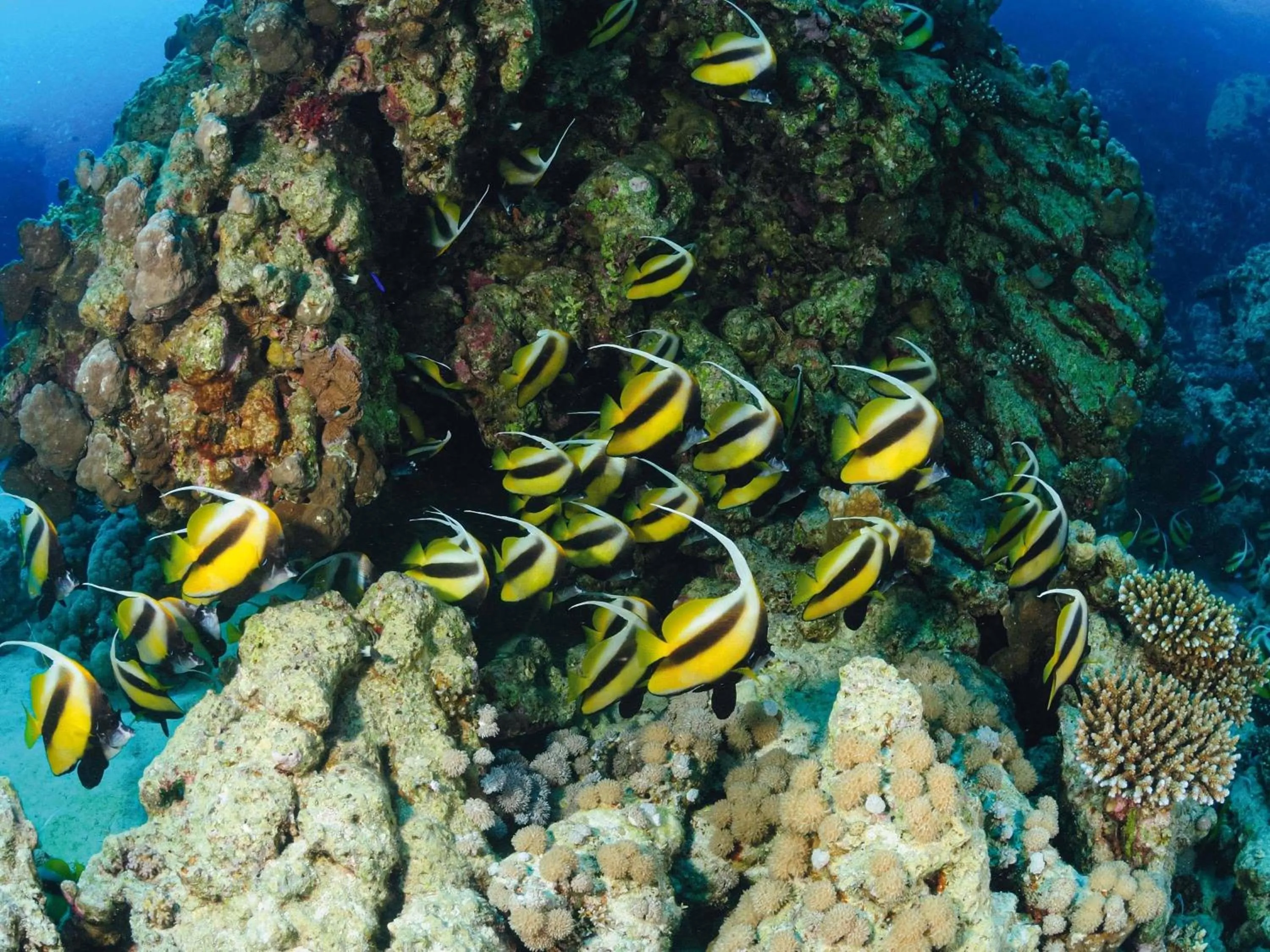 Property building in Movenpick Taba Resort & Spa