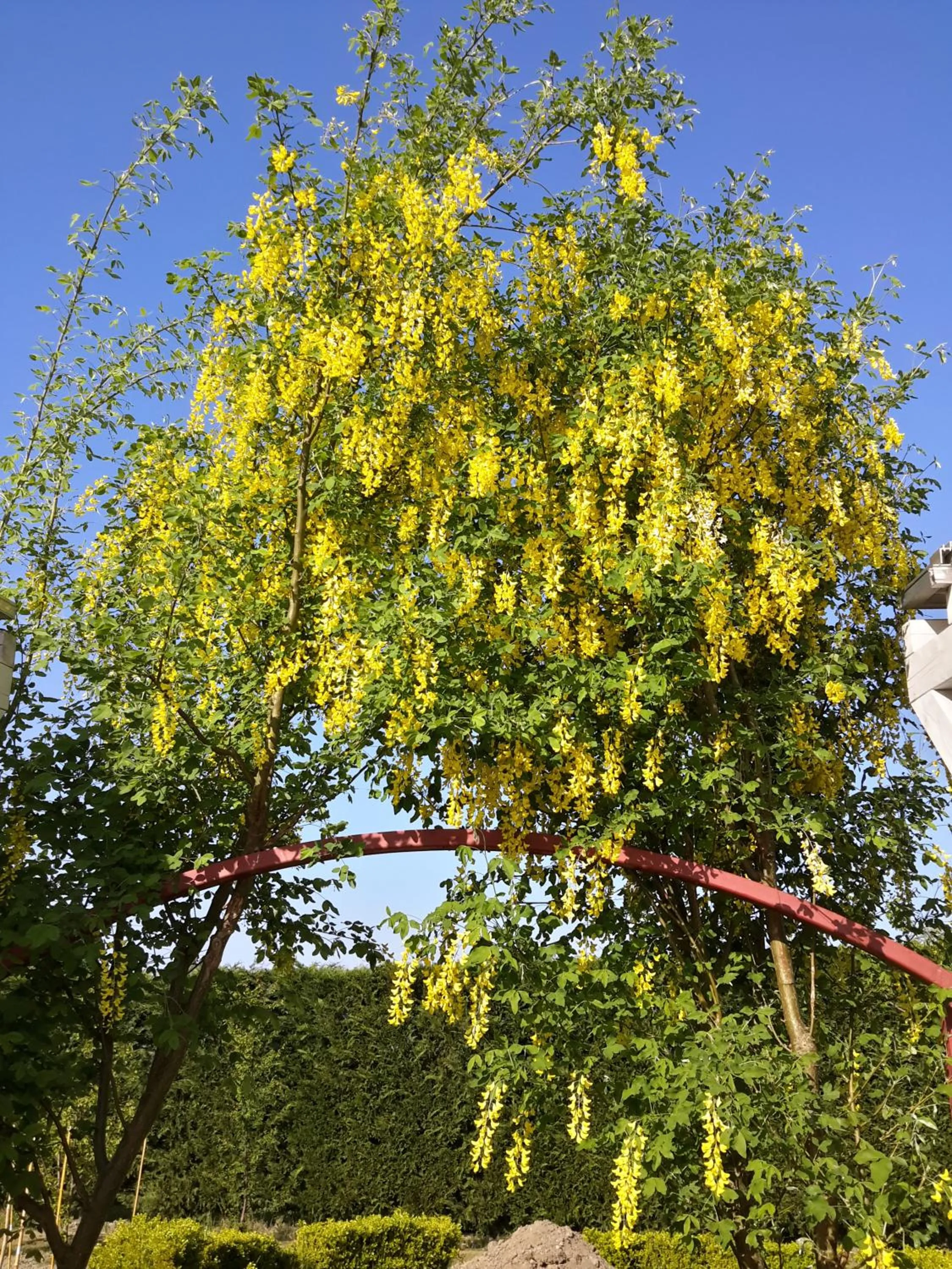 Garden in Agriturismo Lama Di Valle Rosa