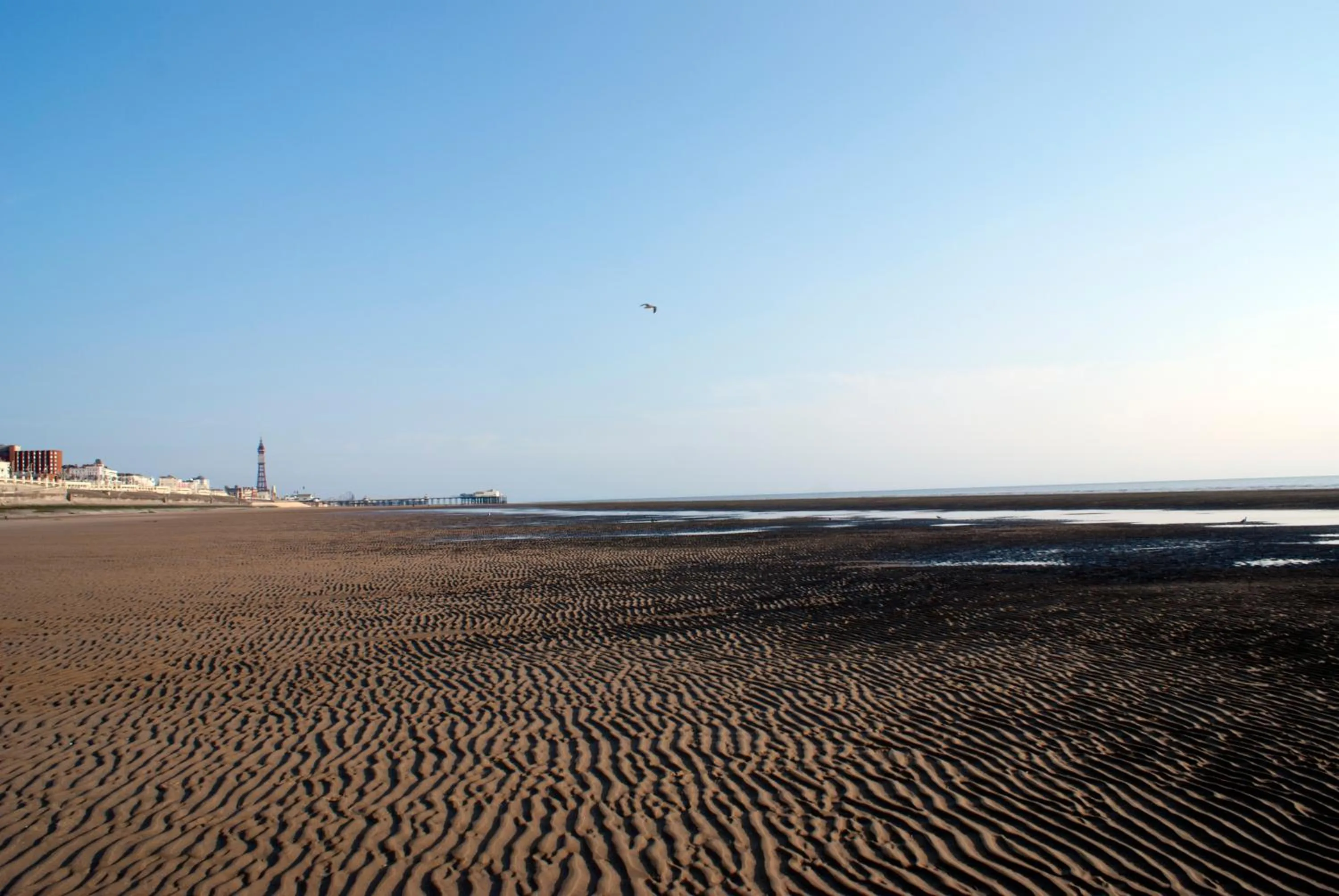 Beach in The Highfield Private Hotel