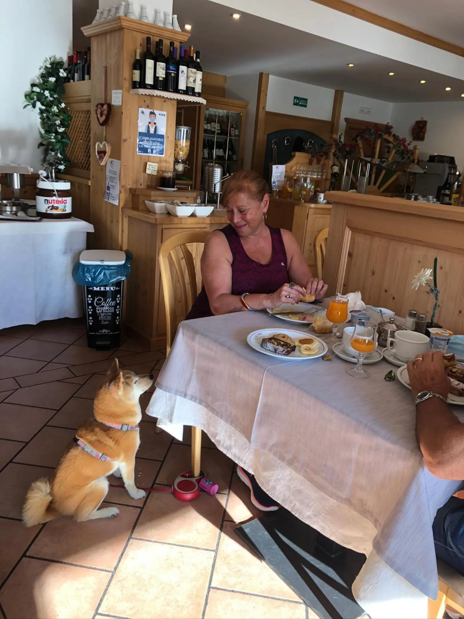 Restaurant/places to eat in Alpine Touring Hotel-petfriendly